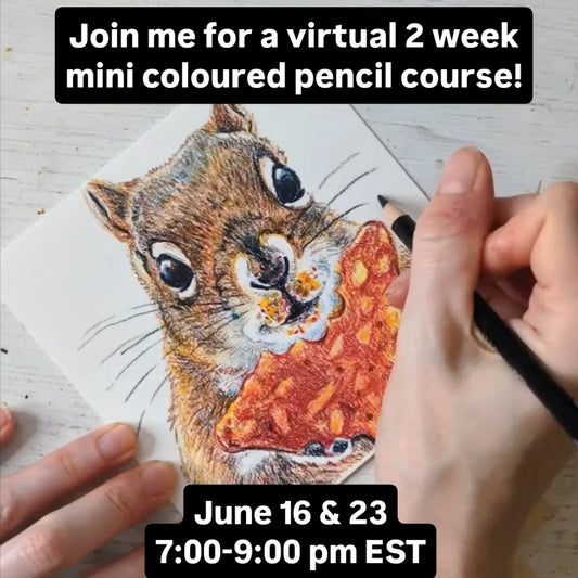 Drawing in Colour: Intro to Coloured Pencil Virtual Mini Drawing Course