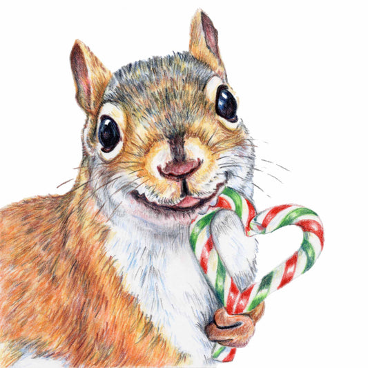 Coloured pencil drawing of a happy red squirrel holding a heart shaped candy cane. Merry Christmas 2022!g