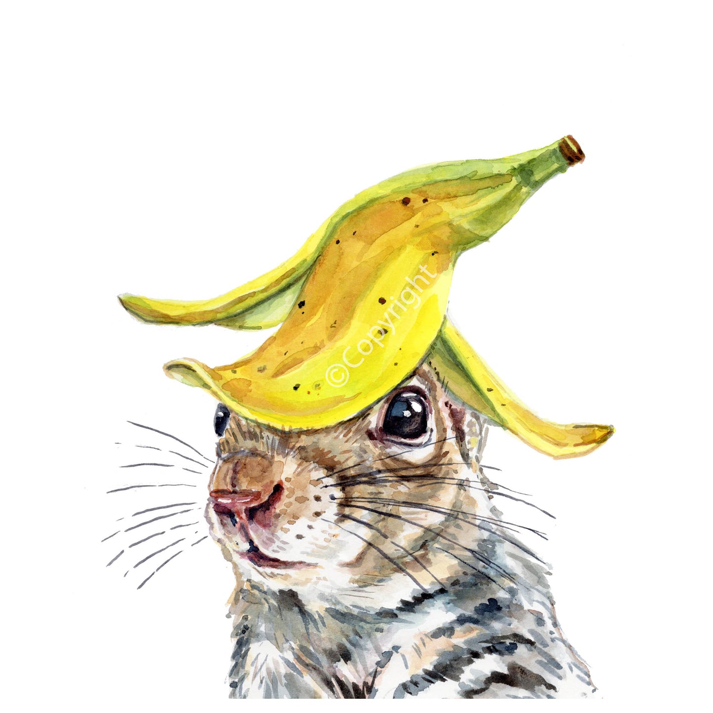 Squirrel wearing a banana peel hat on a white background. Watercolour painting