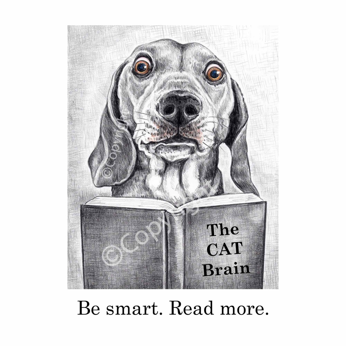 Crayon drawing of a dachshund dog reading a book about cats. Black and white art by Deidre Wicks
