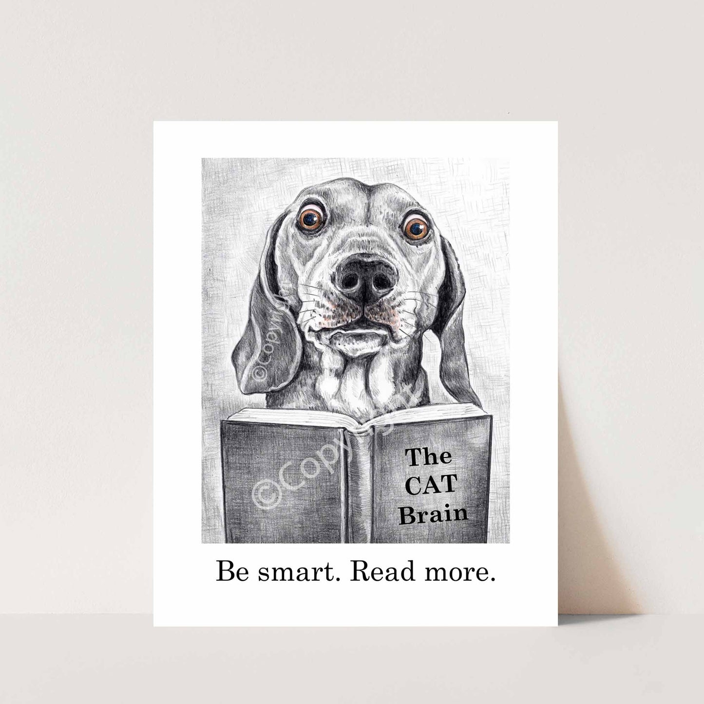 Crayon drawing of a dachshund dog reading a book about cats. Black and white art by Deidre Wicks