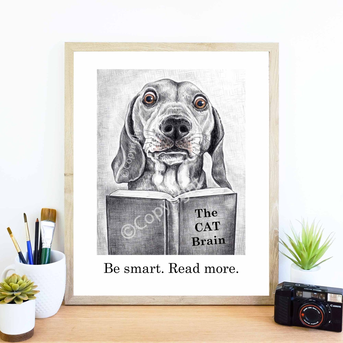 Crayon drawing of a dachshund dog reading a book about cats. Black and white art by Deidre Wicks