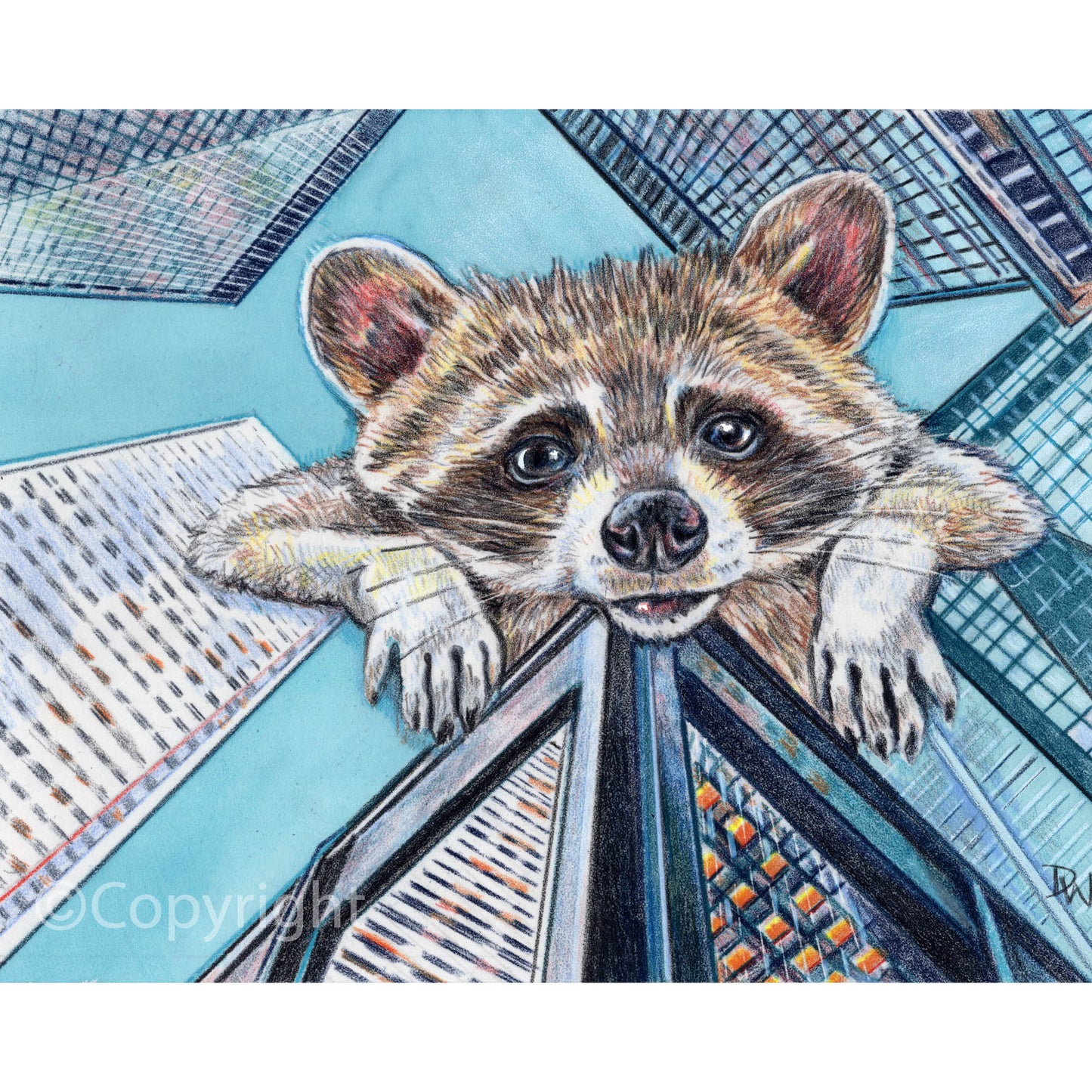 Coloured pencil illustration of a giant raccoon peeking over the cityscape of Toronto