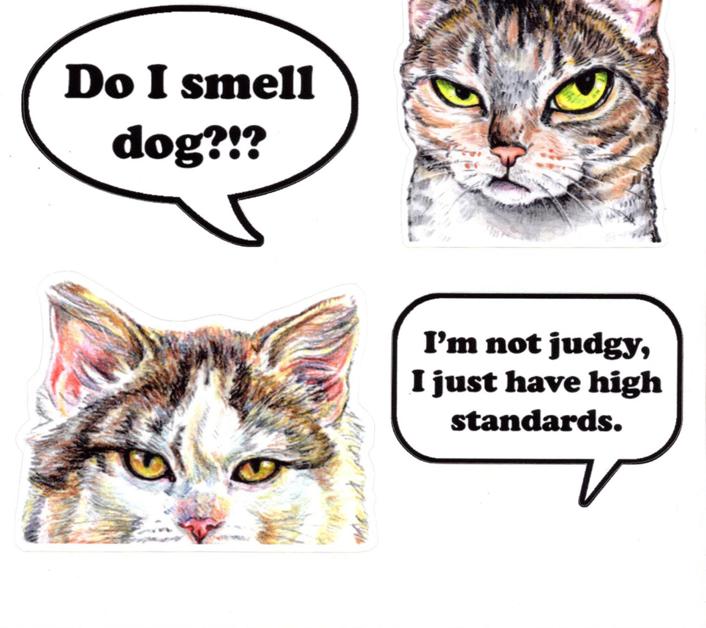 Cat Thoughts Vinyl Sticker Sheet