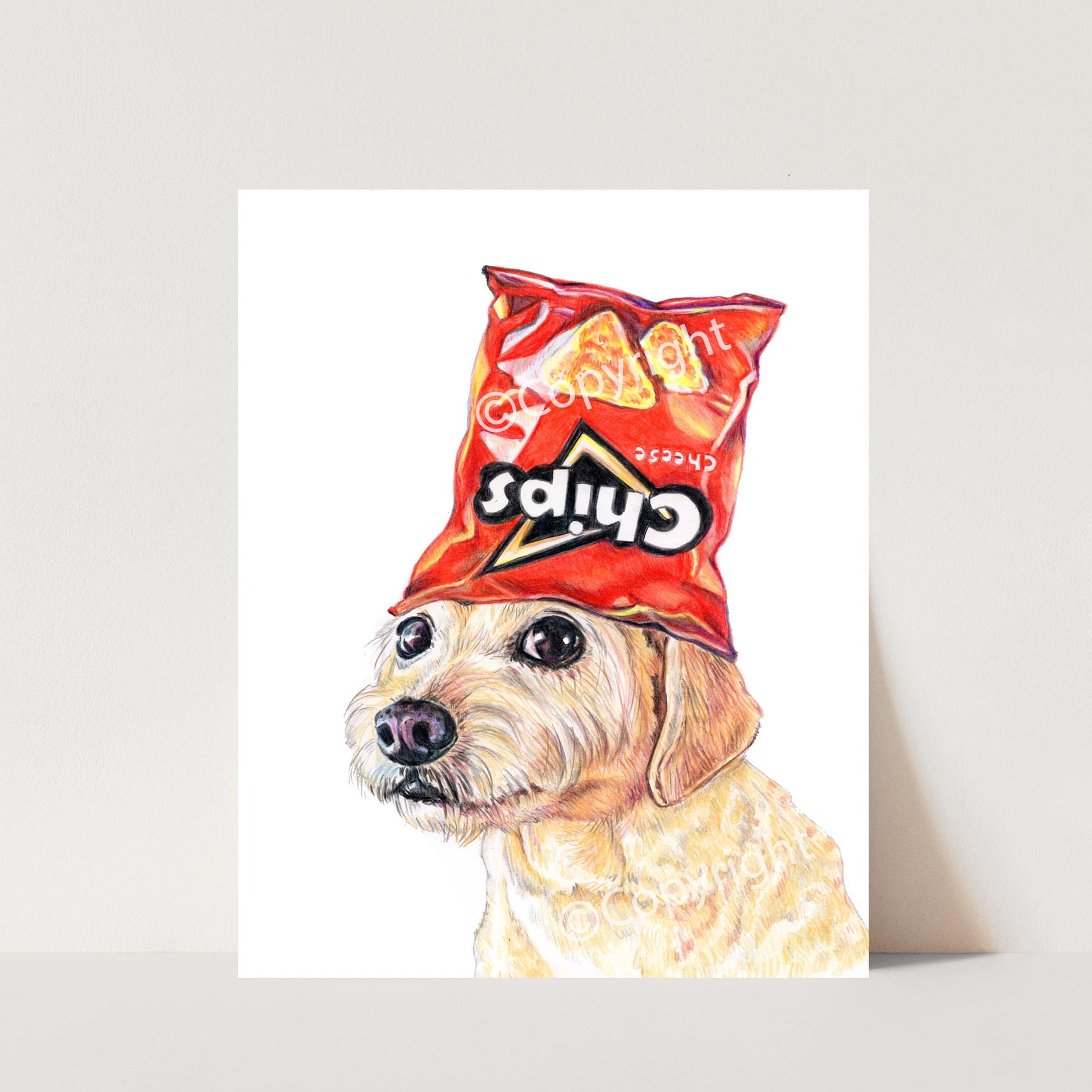 Coloured pencil drawing of a terrier dog wearing a chip bag as a hat. Art by Deidre Wicks