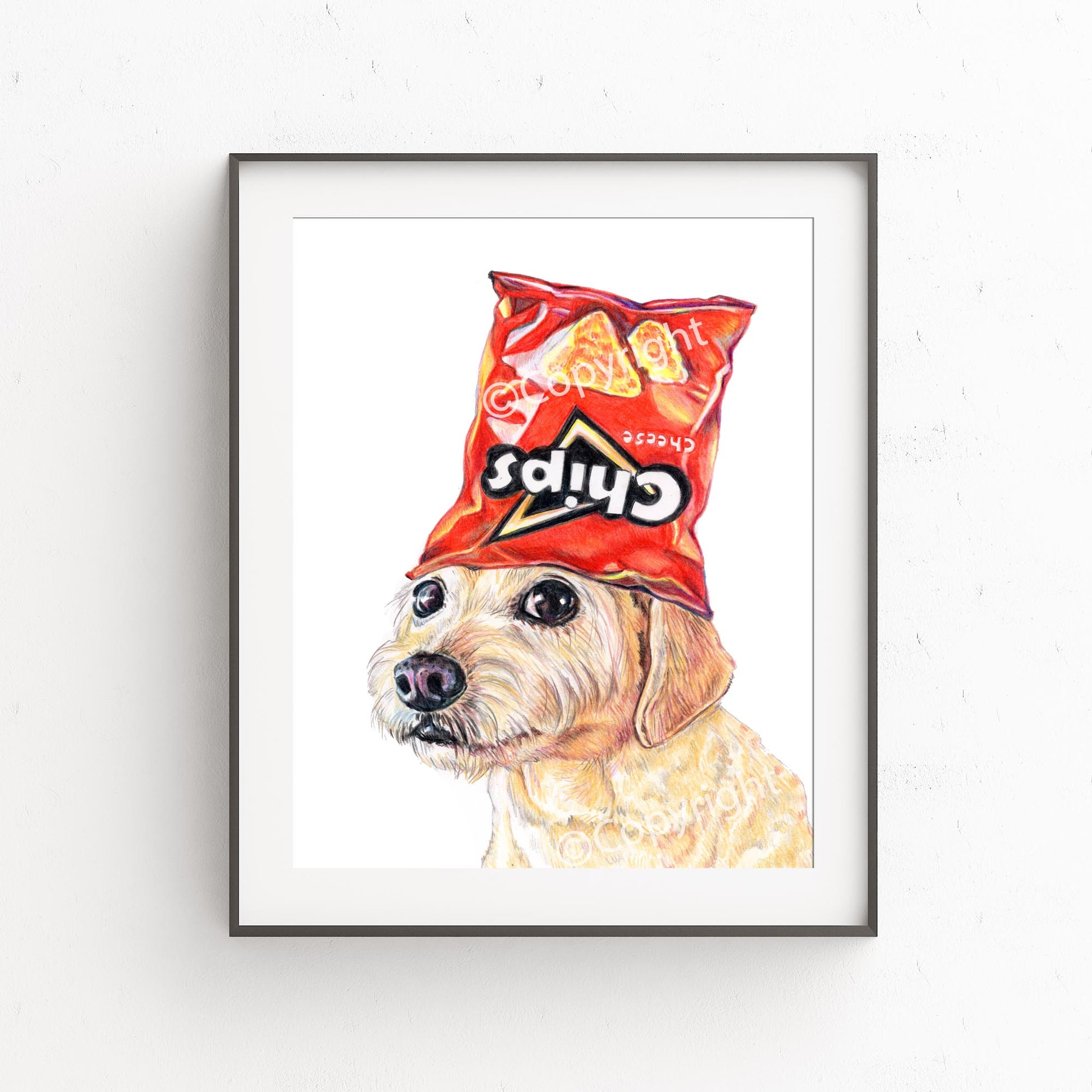 Coloured pencil drawing of a terrier dog wearing a chip bag as a hat. Art by Deidre Wicks