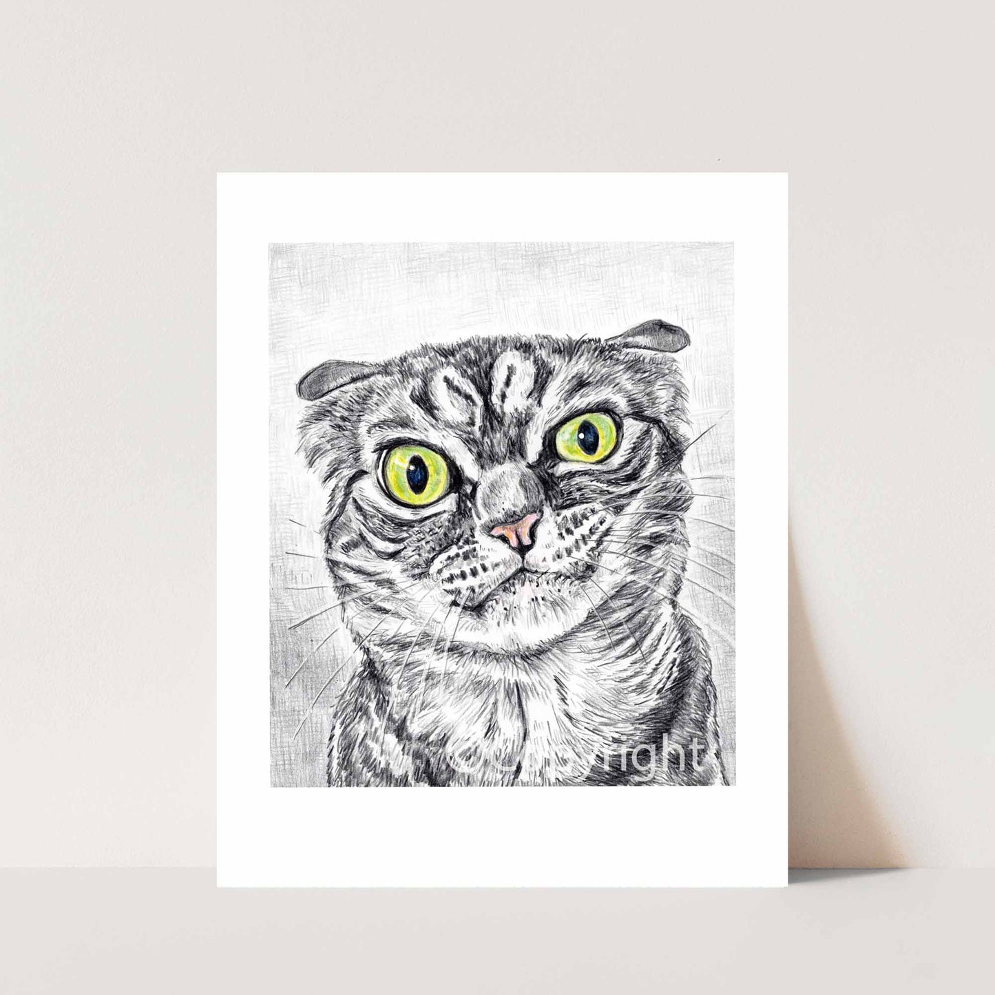 Crayon drawing of a disgruntled tabby cat who knows you were petting a dog. Art by Deidre Wicks