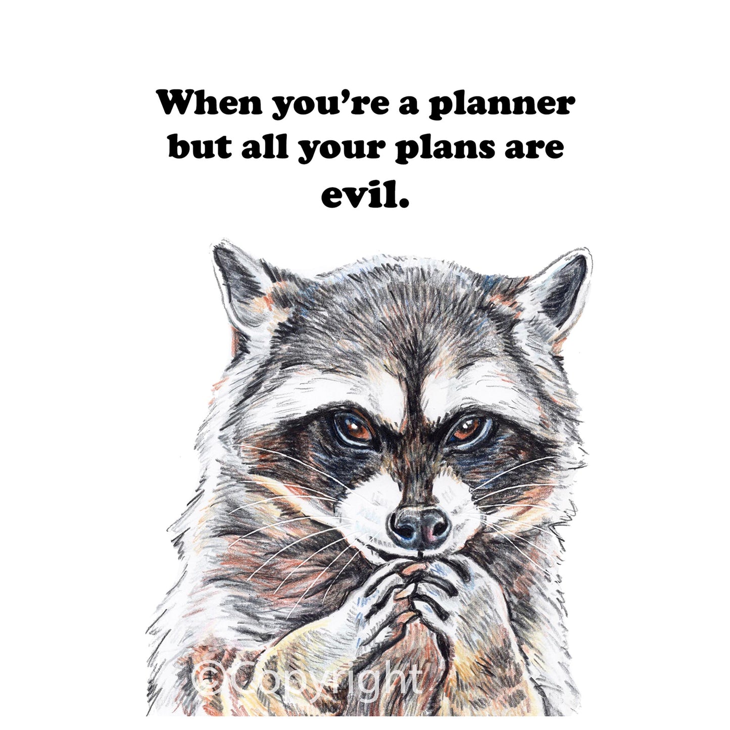 Crayon drawing of raccoon who is planning his next evil scheme. Art by Deidre Wicks