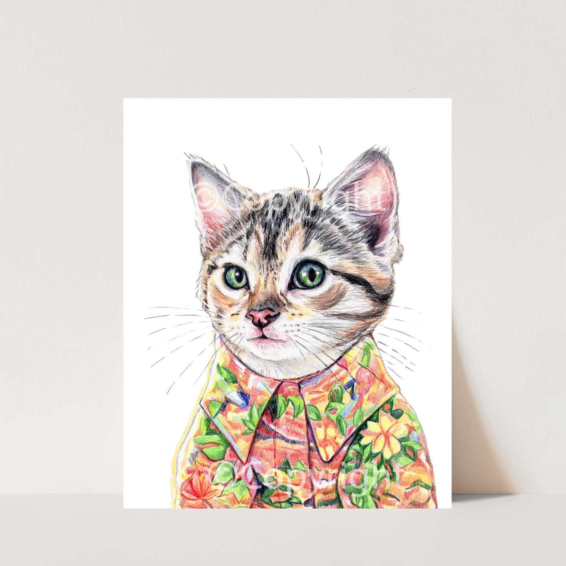 Coloured pencil drawing of a tabby cat kitten wearing a bright Hawaiian shirt by Deidre Wicks