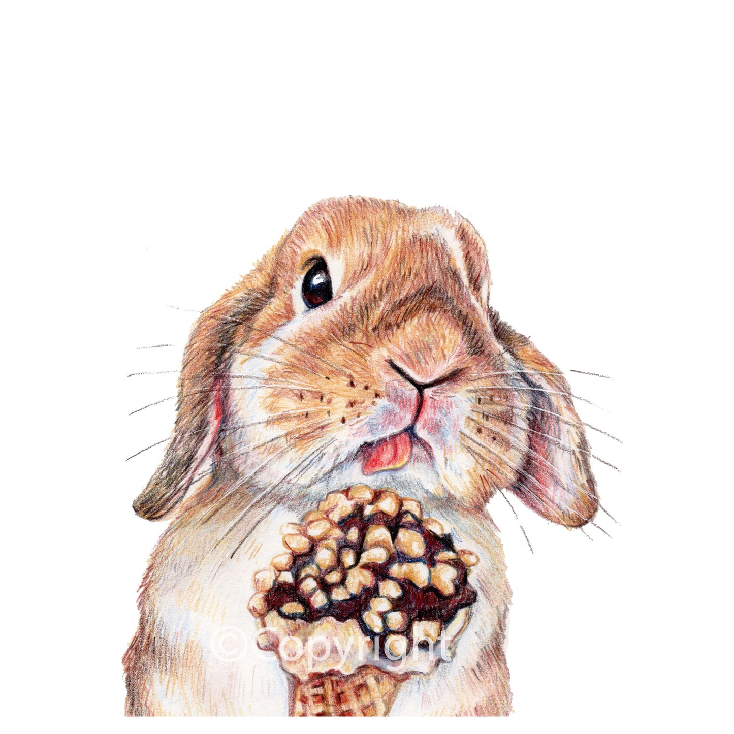 Coloured Pencil drawing of a lop eared bunny rabbit licking and ice cream cone. Art by Deidre Wicks