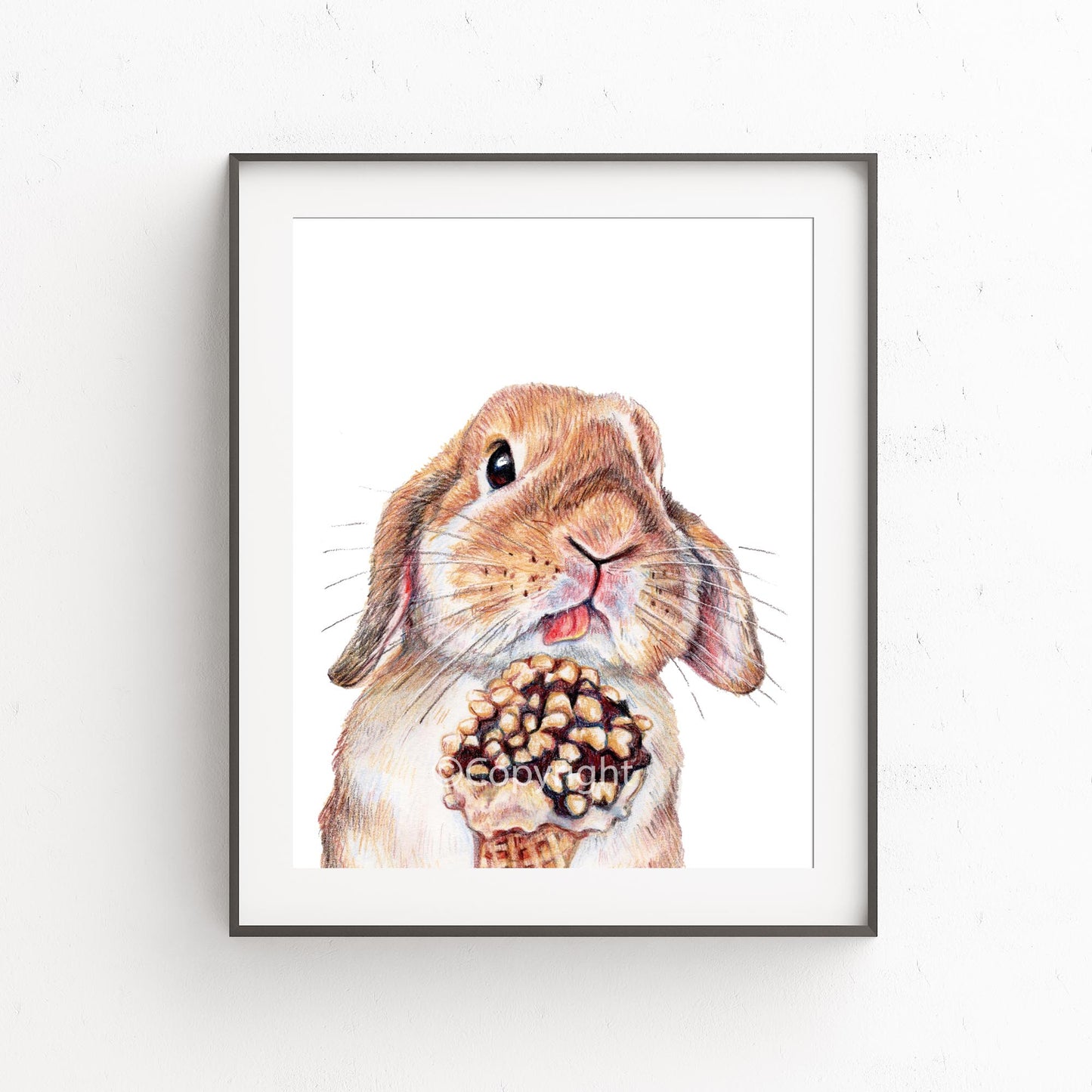 Coloured Pencil drawing of a lop eared bunny rabbit licking and ice cream cone. Art by Deidre Wicks