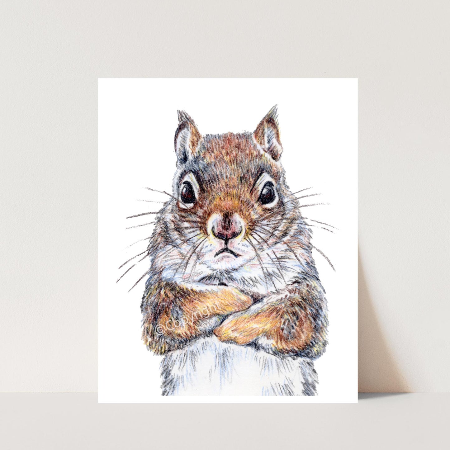 Illustration of a grey grey squirrel on a white background