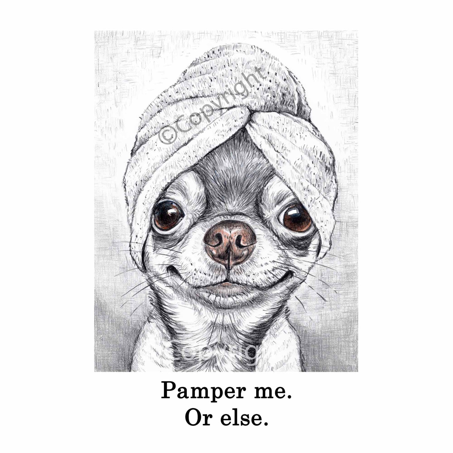 Crayon drawing of an adorable chihuahua dog wearing a bath towel on it's head. Art by Deidre Wicks