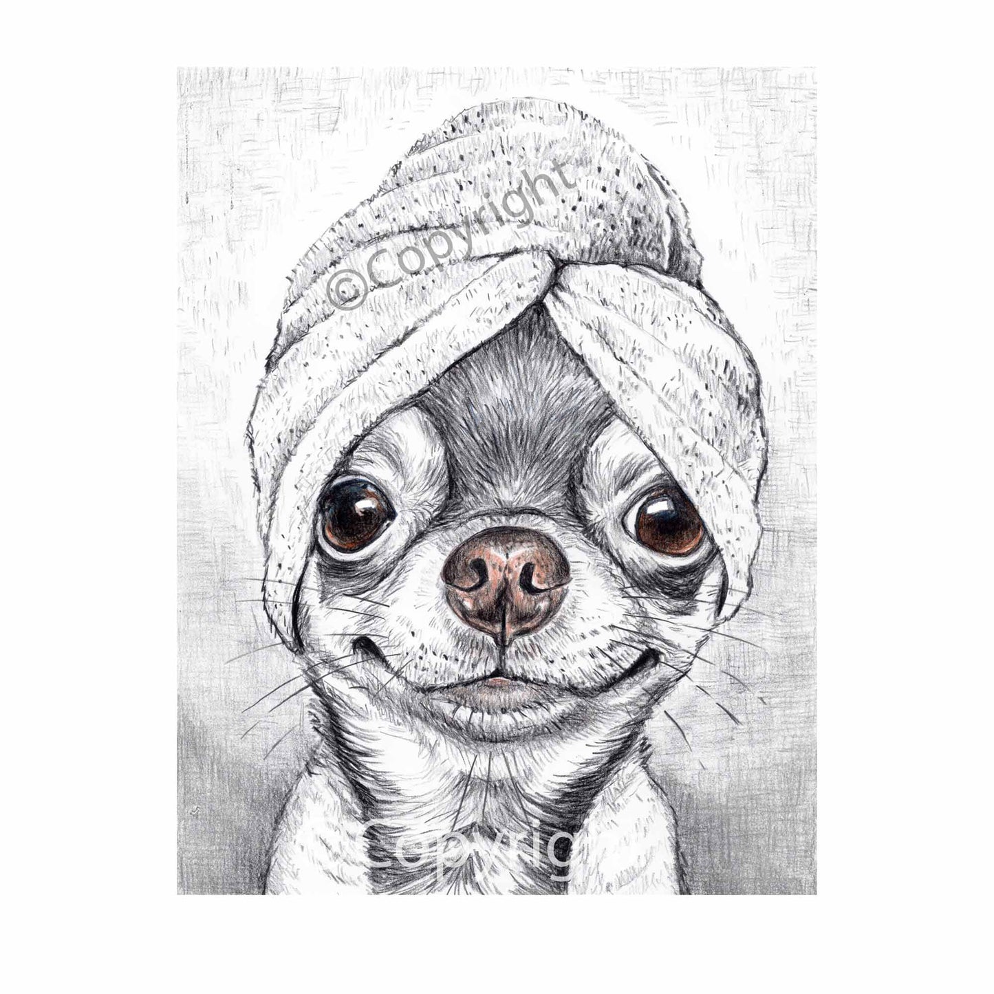 Crayon drawing of an adorable chihuahua dog wearing a bath towel on it's head. Art by Deidre Wicks
