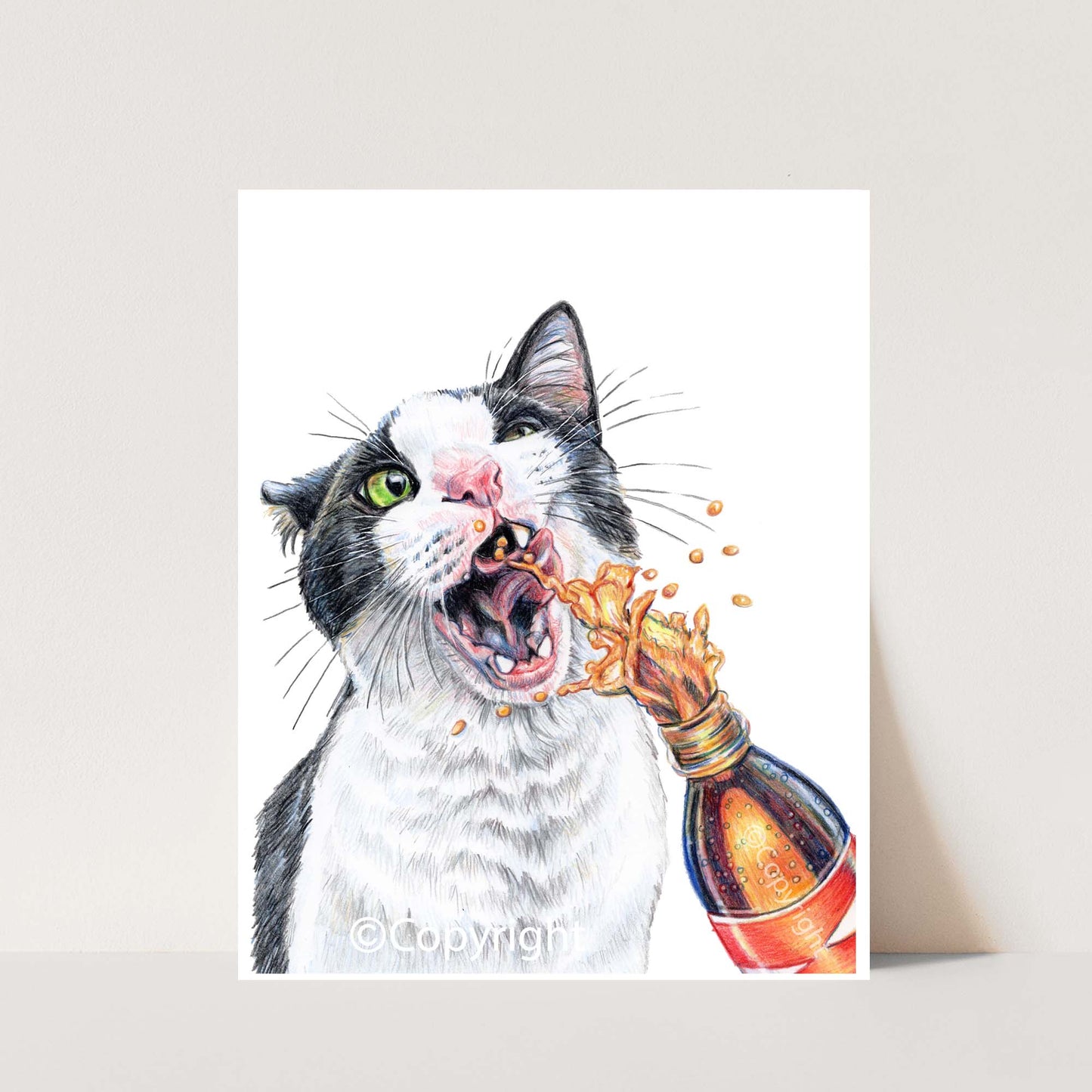 Coloured pencil drawing of a tuxedo cat drinking from a spraying bottle of soda pop. Art by Deidre Wicks