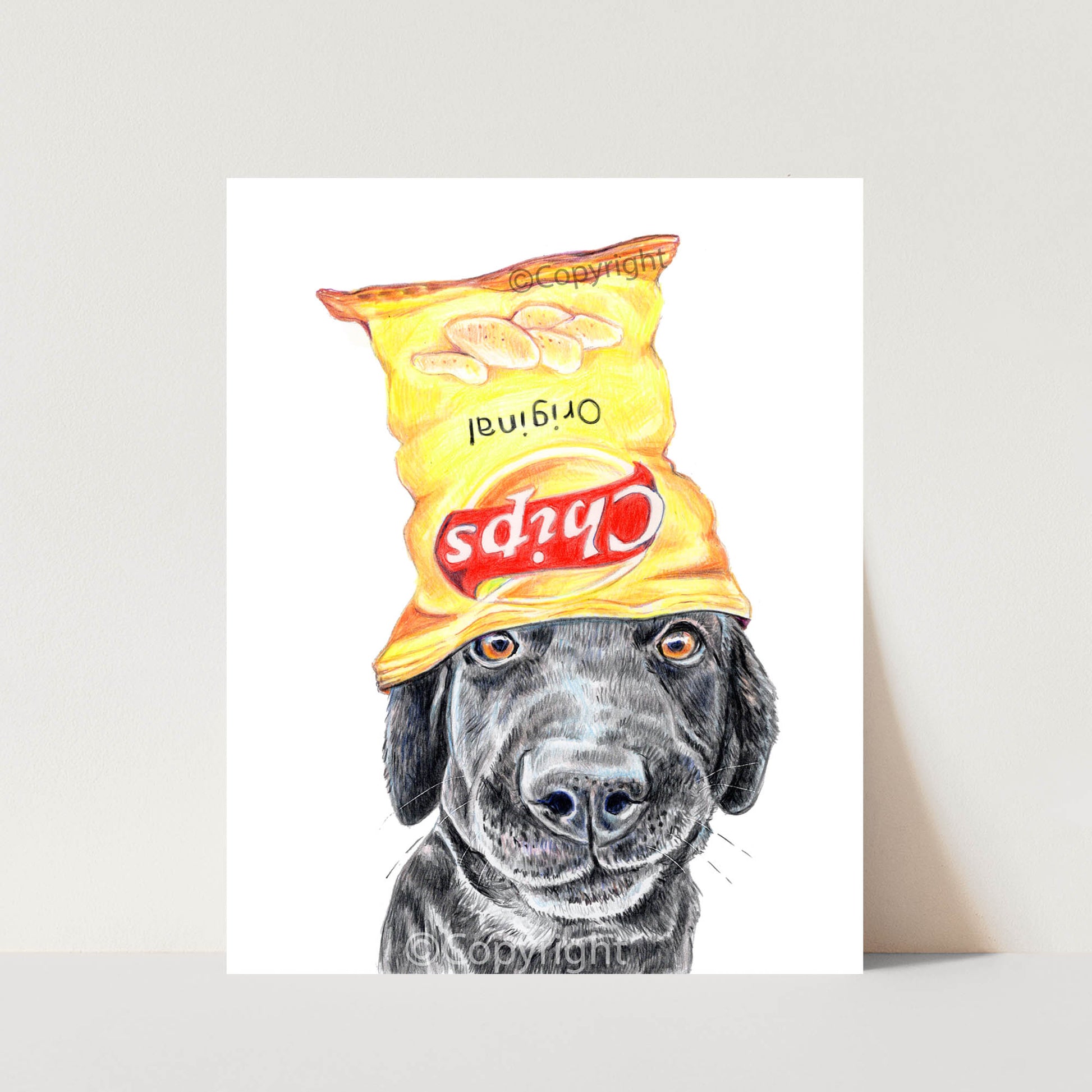 Print of a coloured pencil drawing of a black lab dog wearing an empty chip bag as a hat. Art by Deidre Wicks