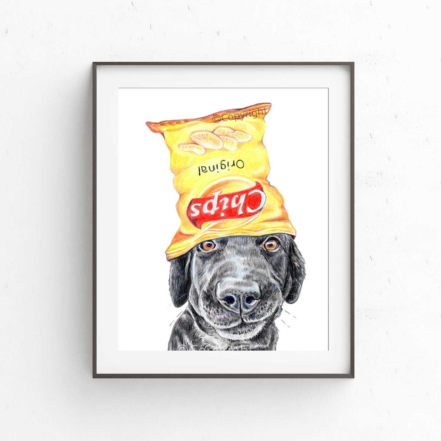 Print of a coloured pencil drawing of a black lab dog wearing an empty chip bag as a hat. Art by Deidre Wicks