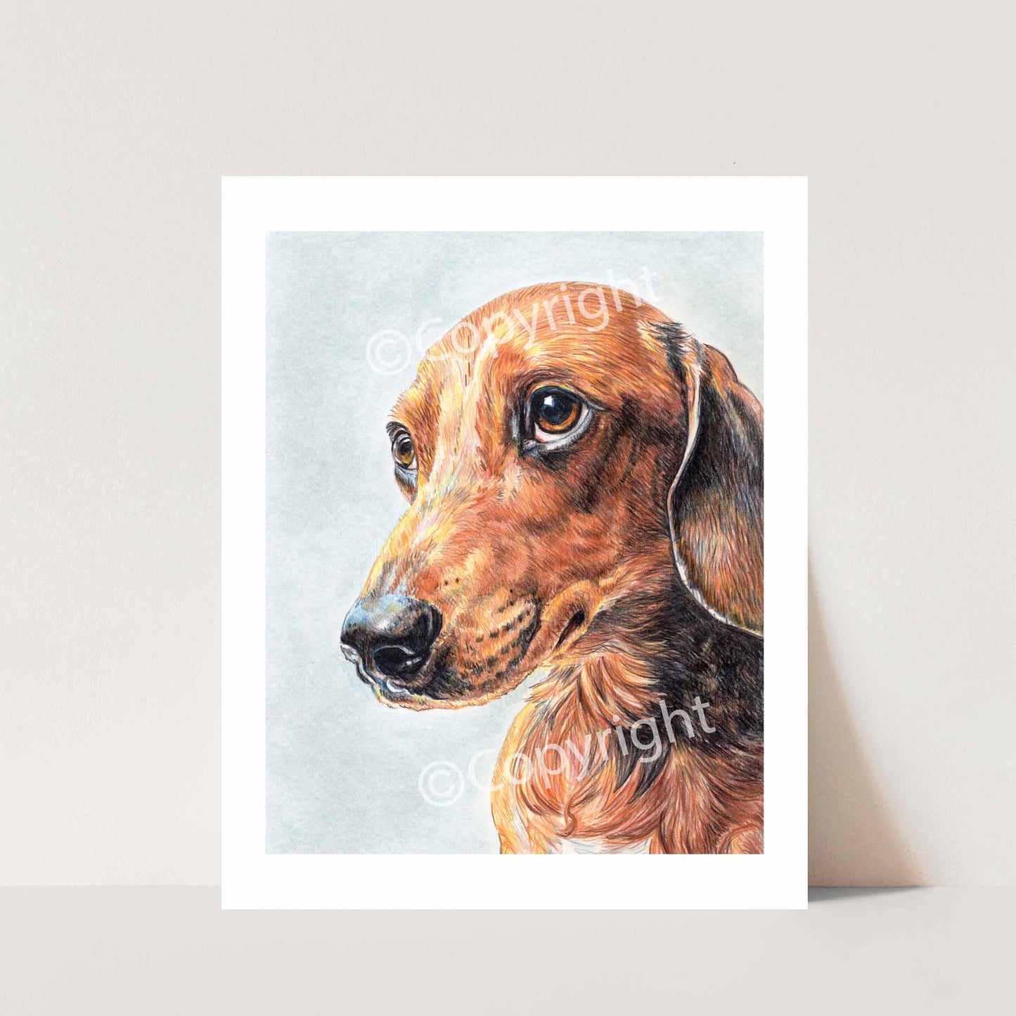 Original crayon drawing of a dachshund dog begging with his eyes for more food by Deidre Wicks