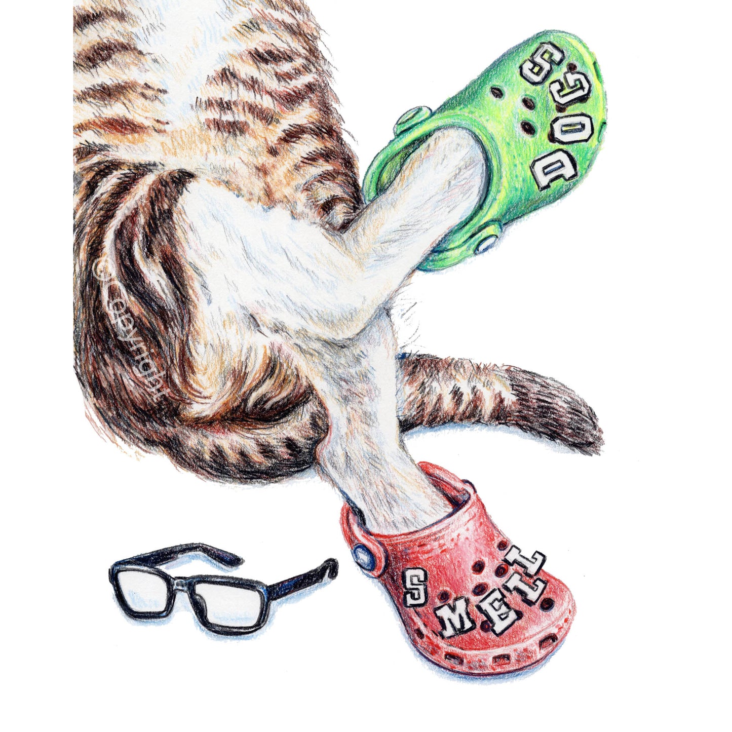 Illustration of a cat wearing green and red Crocs with glasses on a white background