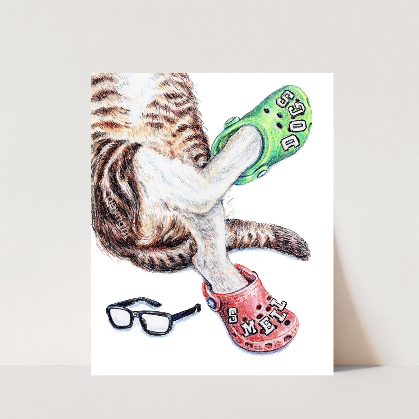 Illustration of a cat wearing green and red Crocs with glasses on a white background