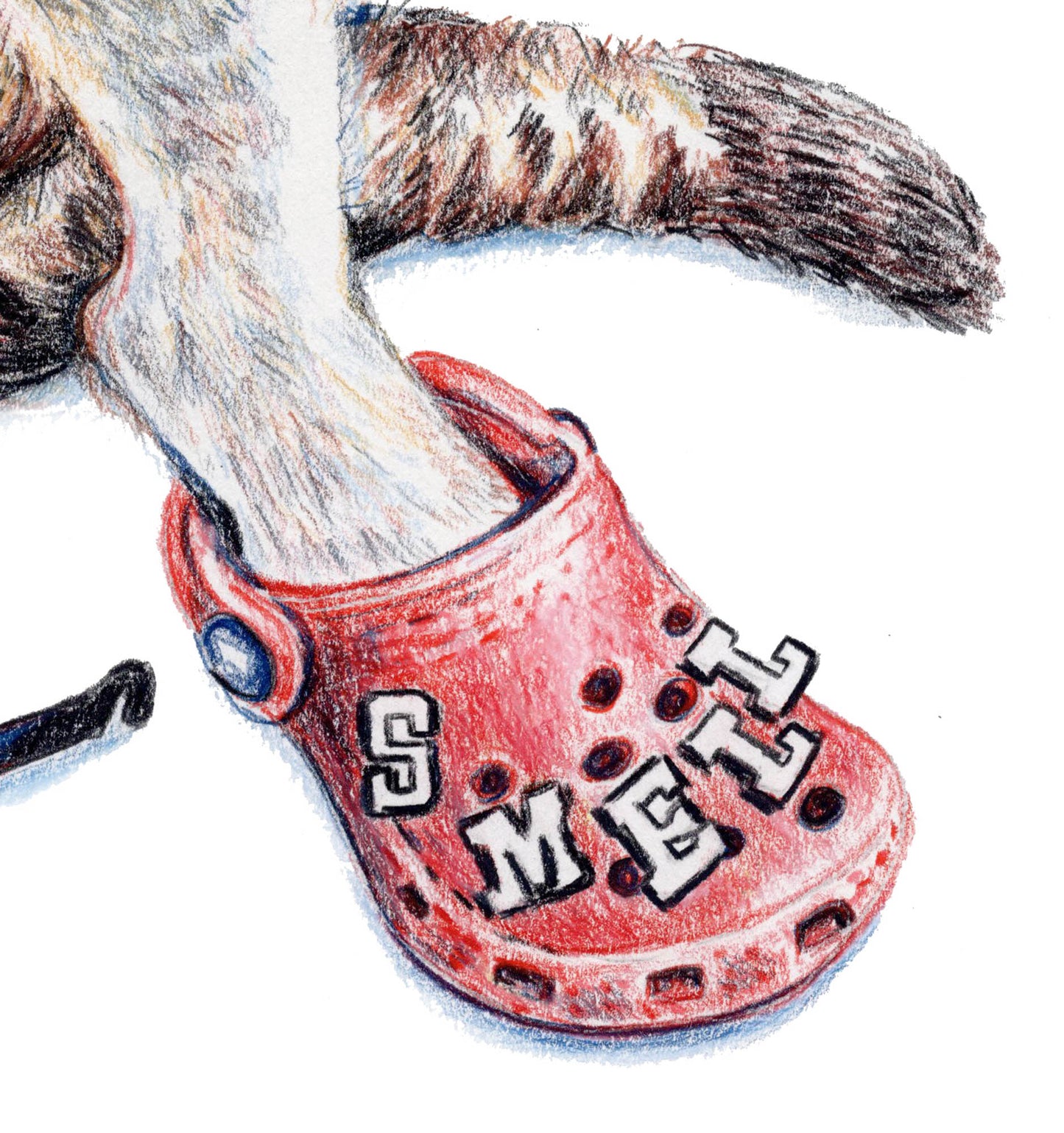 Red clog shoe with 'SMELL' text worn by a cat, on a white background
