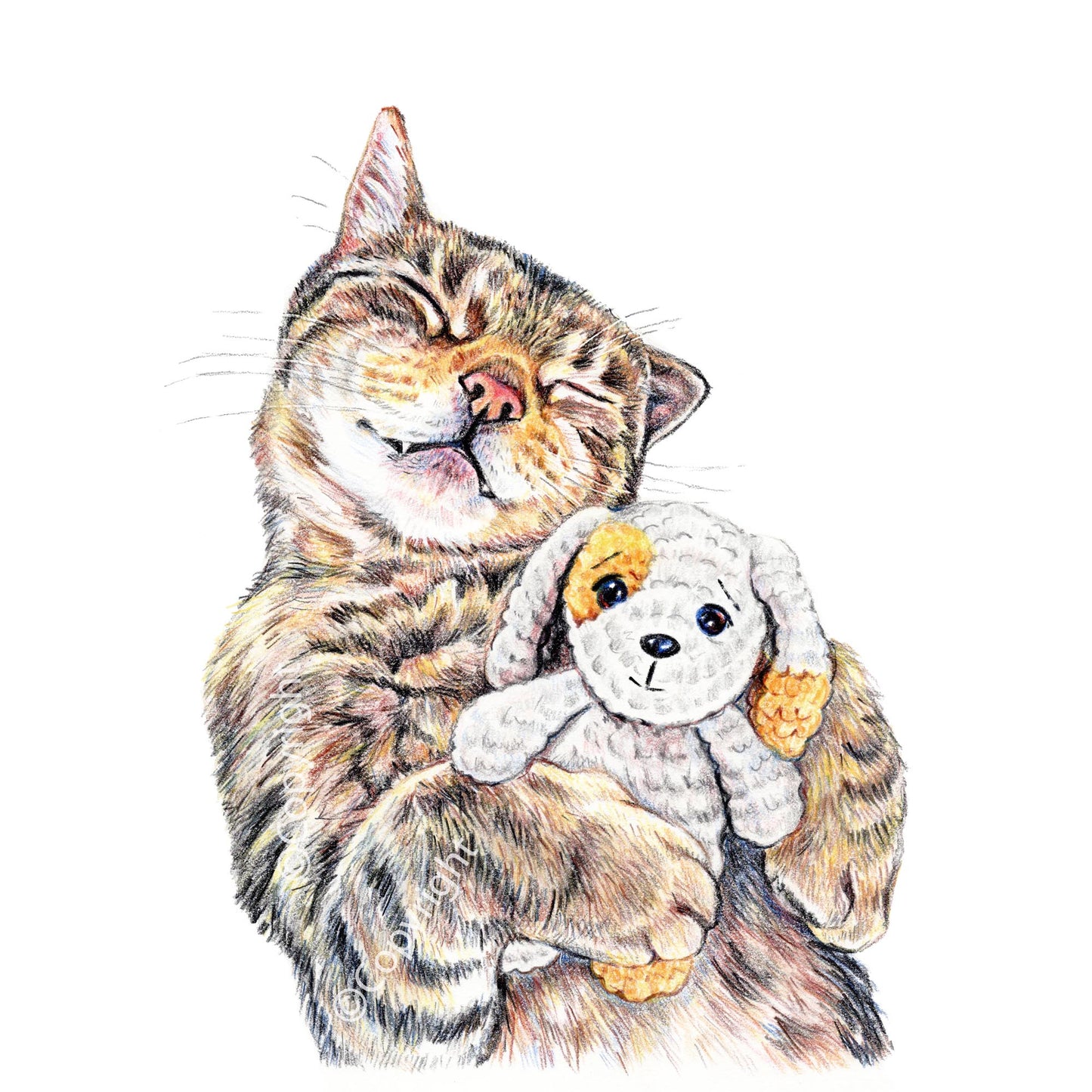 Coloured pencil drawing of a brown tabby cat napping with stuffed dog by Deidre Wicks