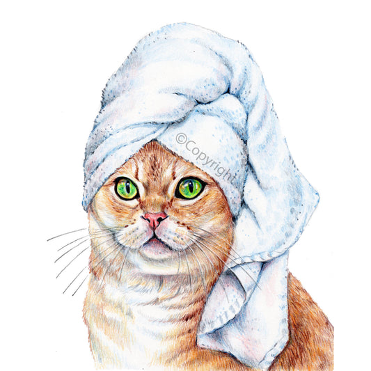 Coloured pencil drawing of a beautiful orange tabby ginger cat wearing a bath towel on her head.