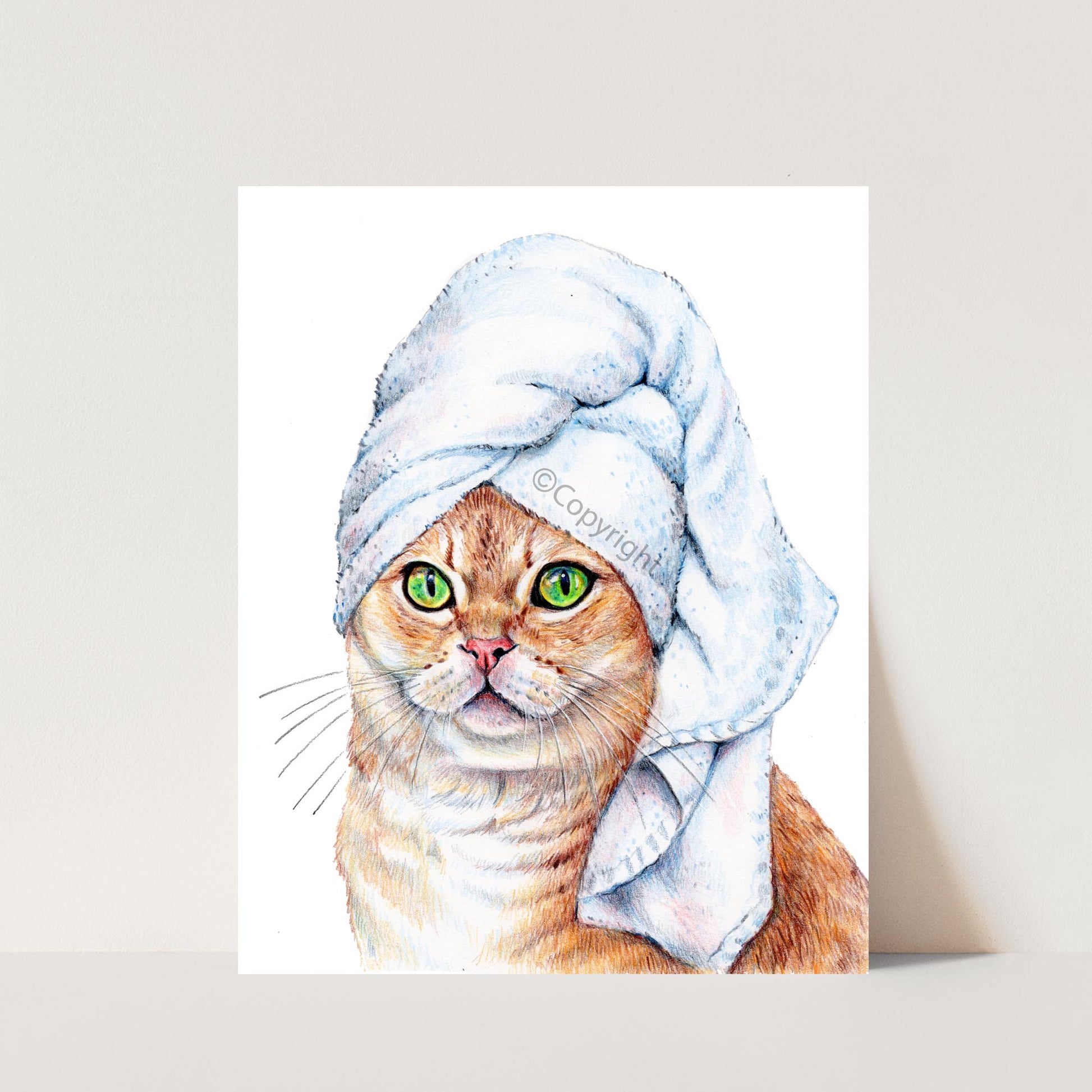 Coloured pencil drawing of a beautiful orange tabby ginger cat wearing a bath towel on her head.