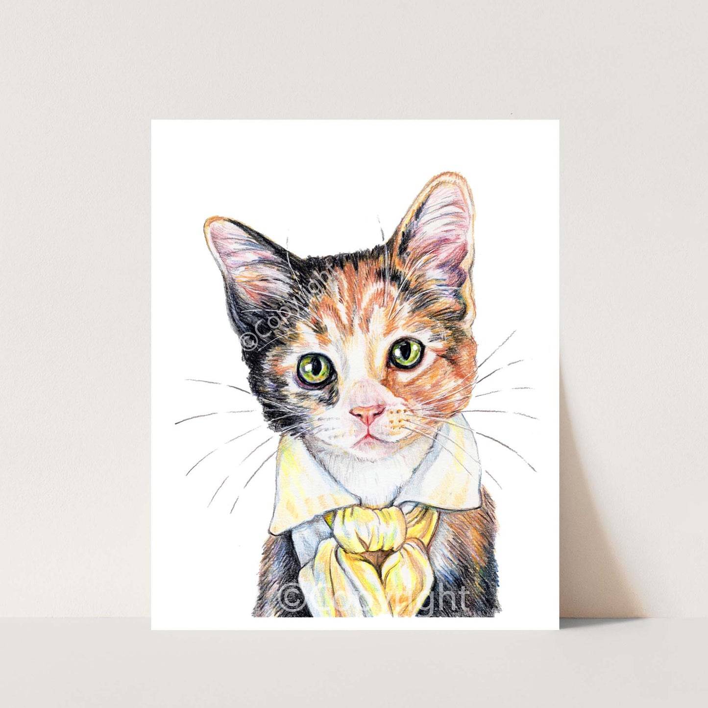 Coloured Pencil drawing of a calico kitten cat wearing a Romantic-style cravat. Art by Deidre Wicks