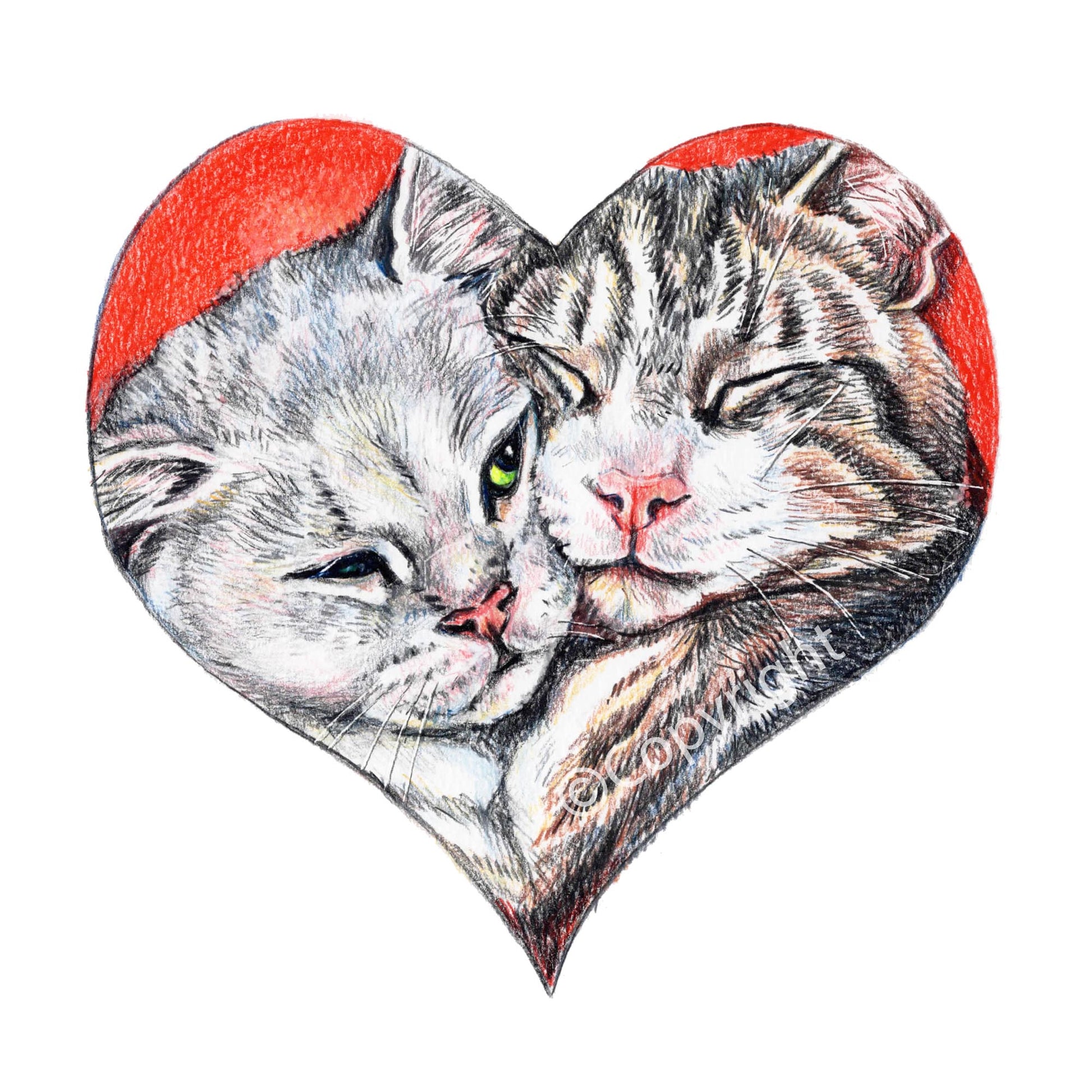 Coloured pencil drawing of a pair of bonded tabby cats shaped like a heart. Art by Deidre Wicks