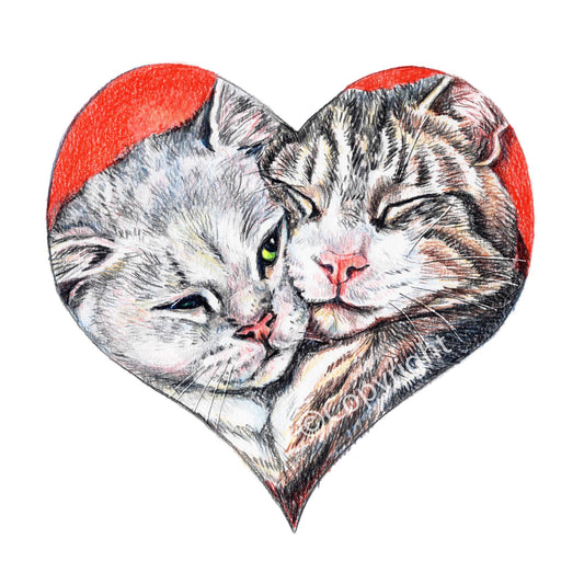 Coloured pencil drawing of a pair of bonded tabby cats shaped like a heart. Art by Deidre Wicks