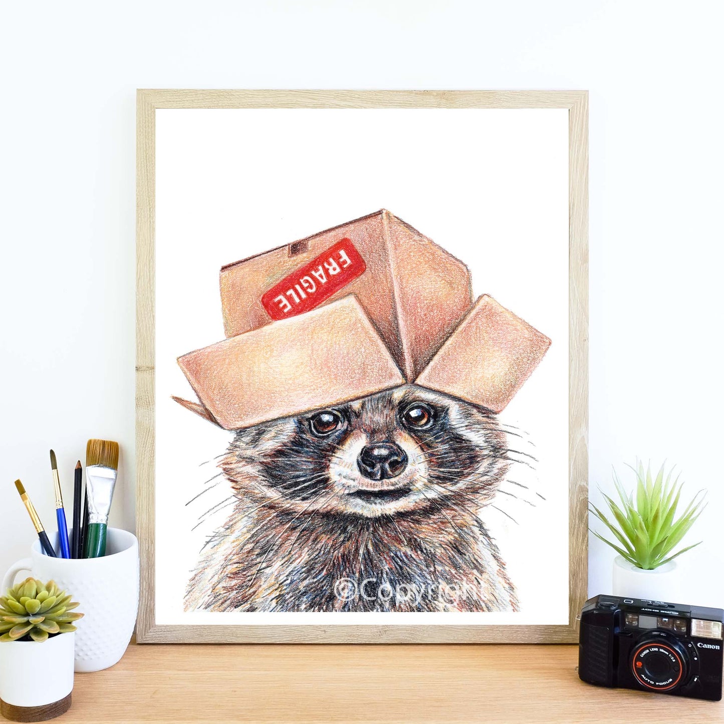 Raccoon Art Coloured Pencil Fine Art Print