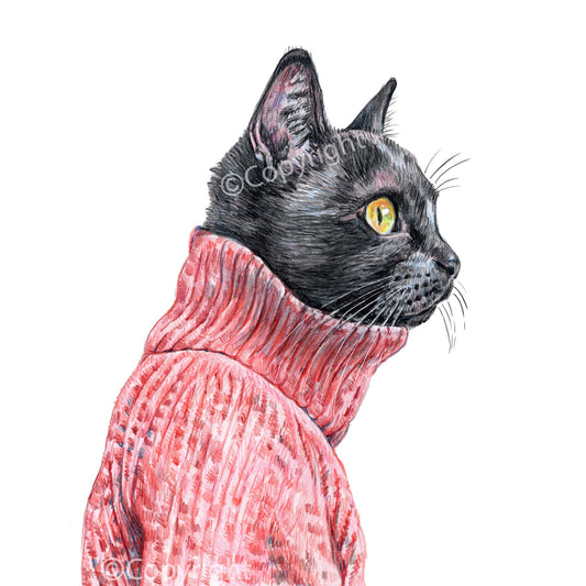 Coloured pencil drawing of a black cat in profile wearing a red turtleneck sweater. Art by Deidre Wicks