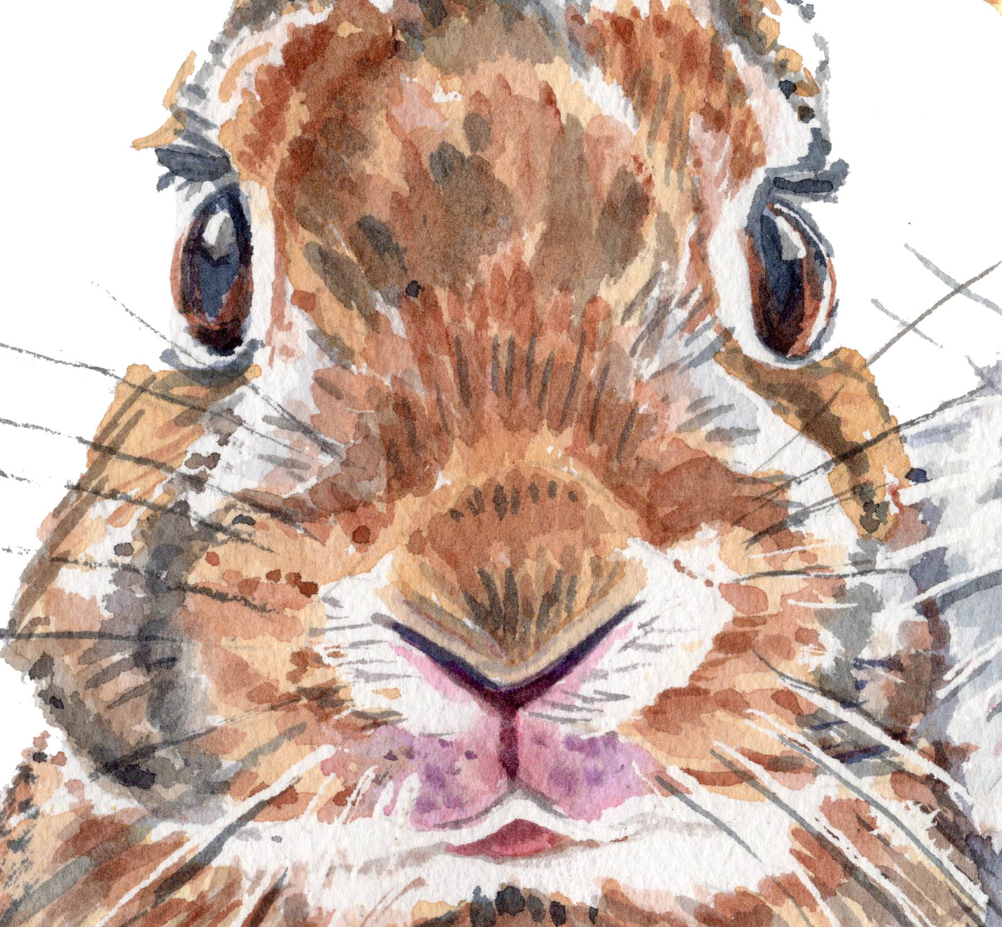 Your Are What You Eat Print
