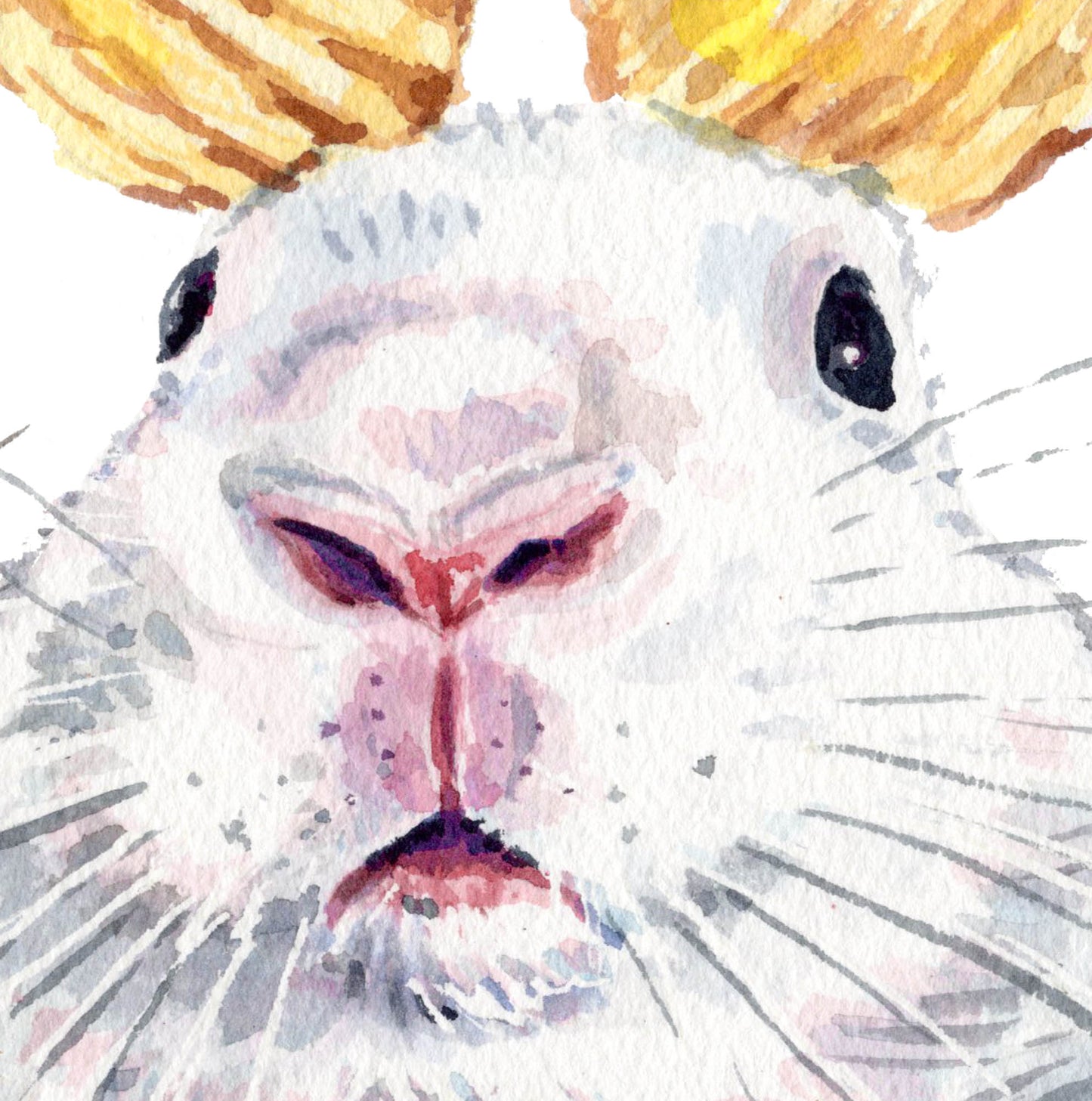 Your Are What You Eat Print