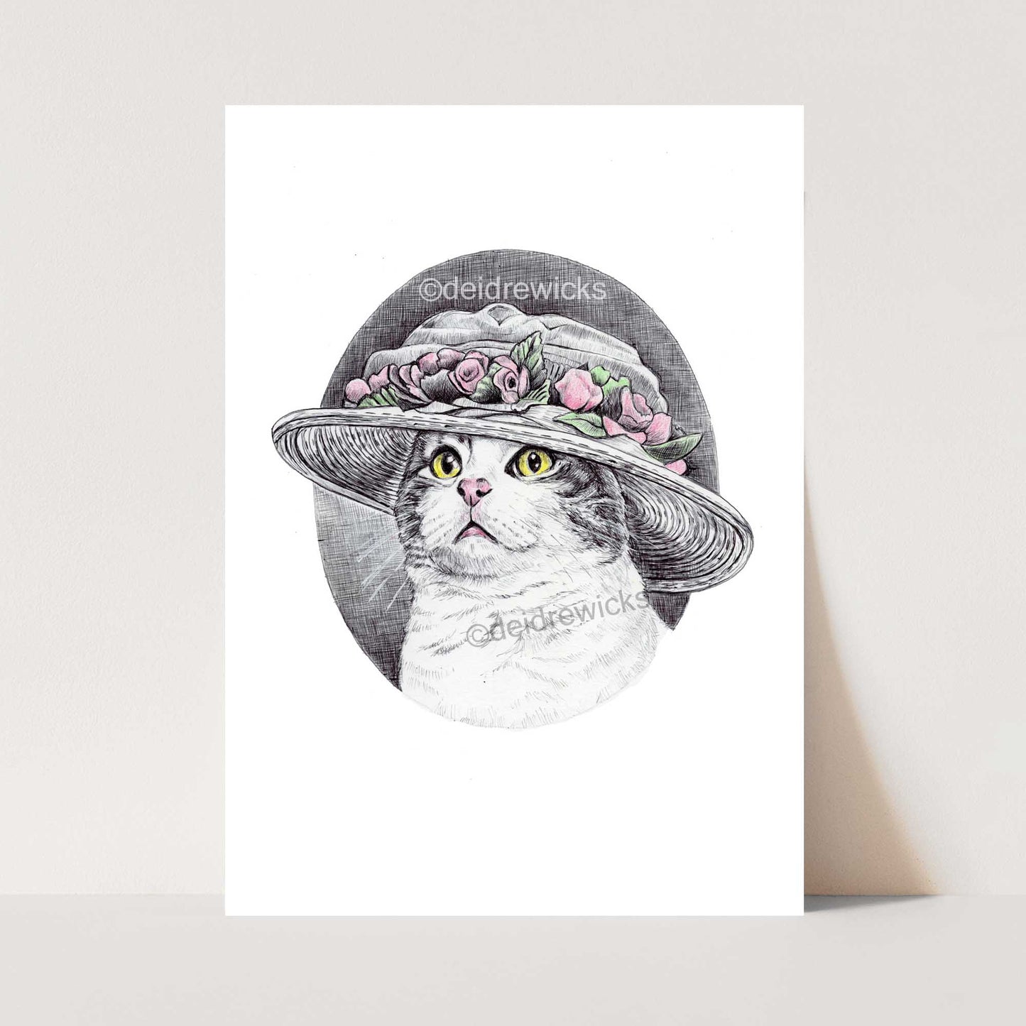 Big Hat Cat