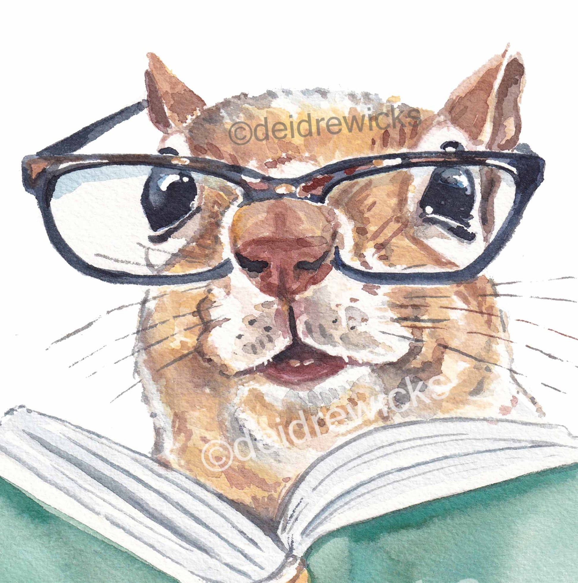 Close up of a squirrel wearing reading glasses and holding a book. Original watercolour painting by Deidre Wicks