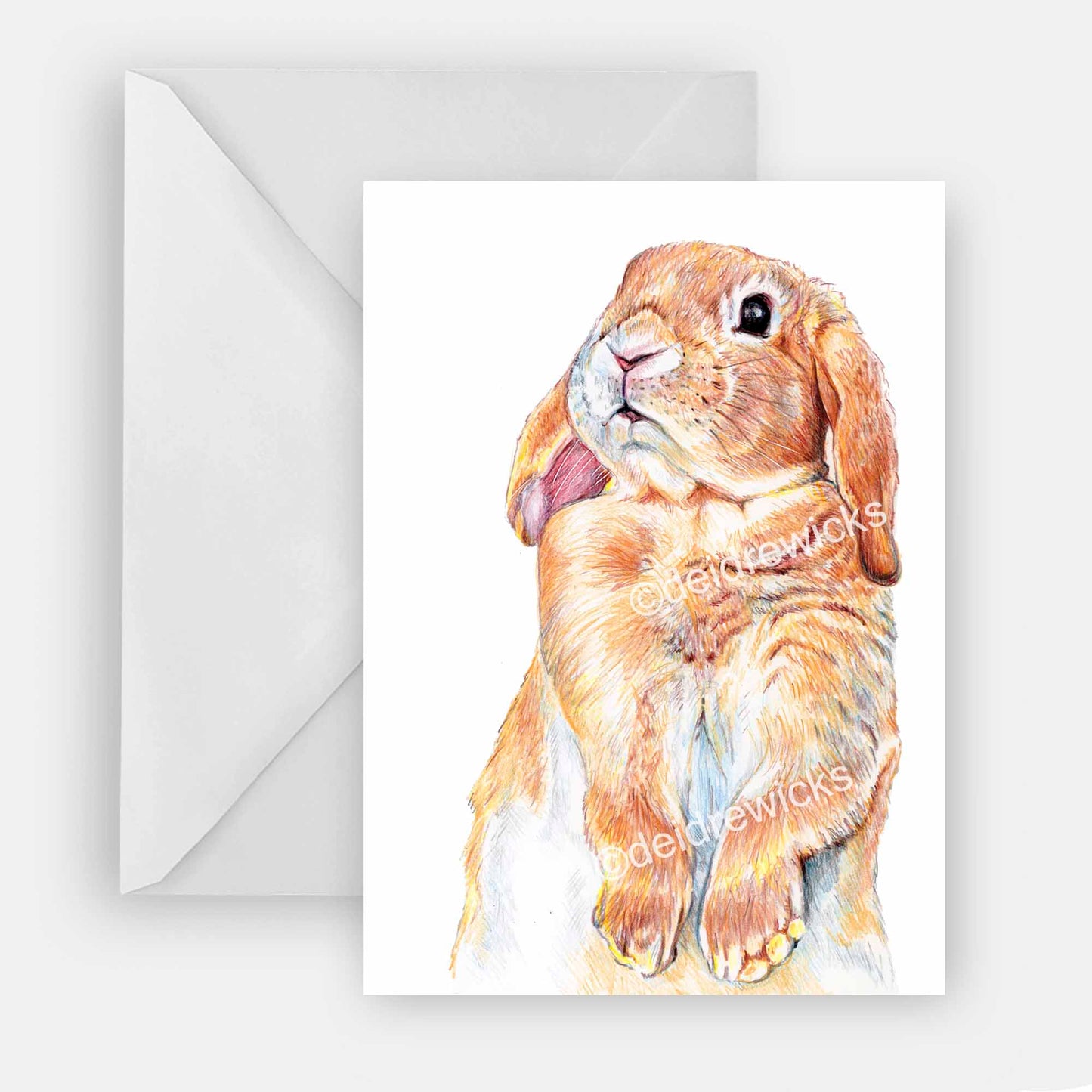 Blank Greeting card featuring a lop eared bunny rabbit sniffing the air. Coloured pencil art by Deidre Wicks