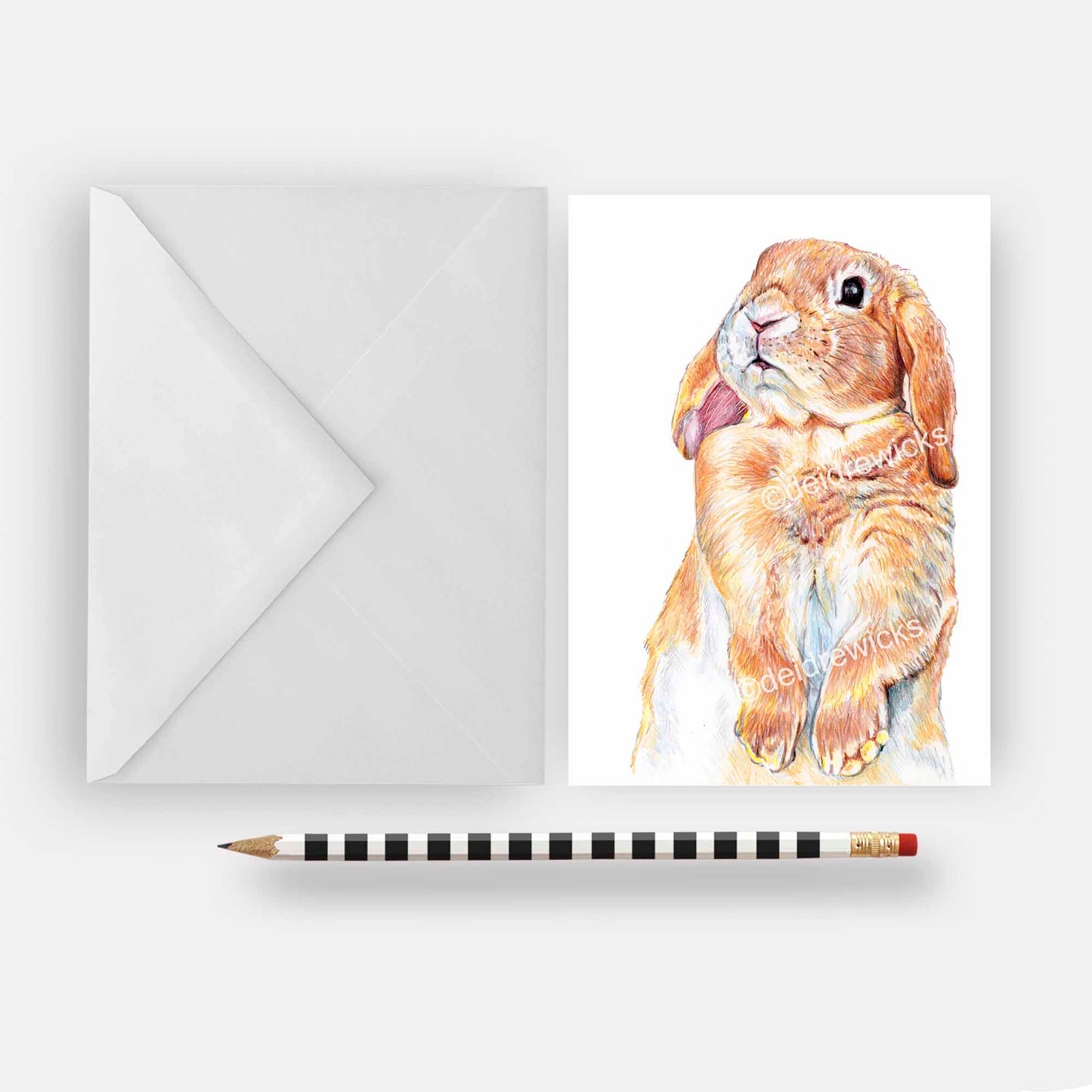 Blank Greeting card featuring a lop eared bunny rabbit sniffing the air. Coloured pencil art by Deidre Wicks