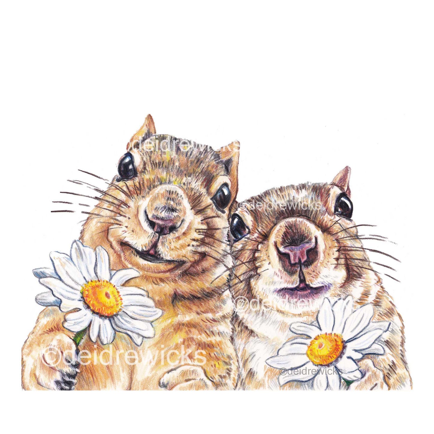 Colored pencil illustration of 2 squirrel who are holding daisies and are deeply in love