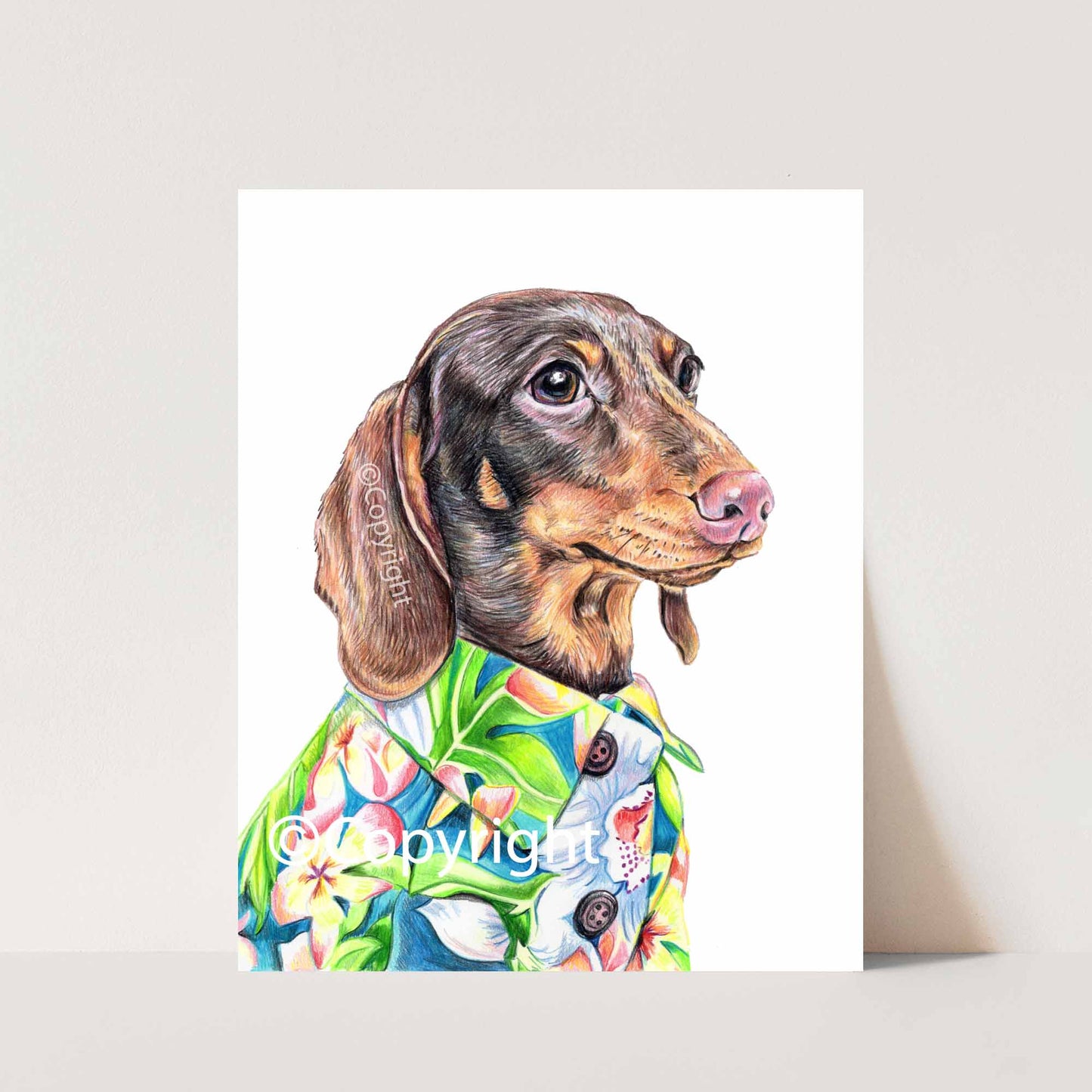 Coloured pencil drawing of a dachshund dog wearing a bright green and blue Hawaiian shirt. Art by Deidre Wicks