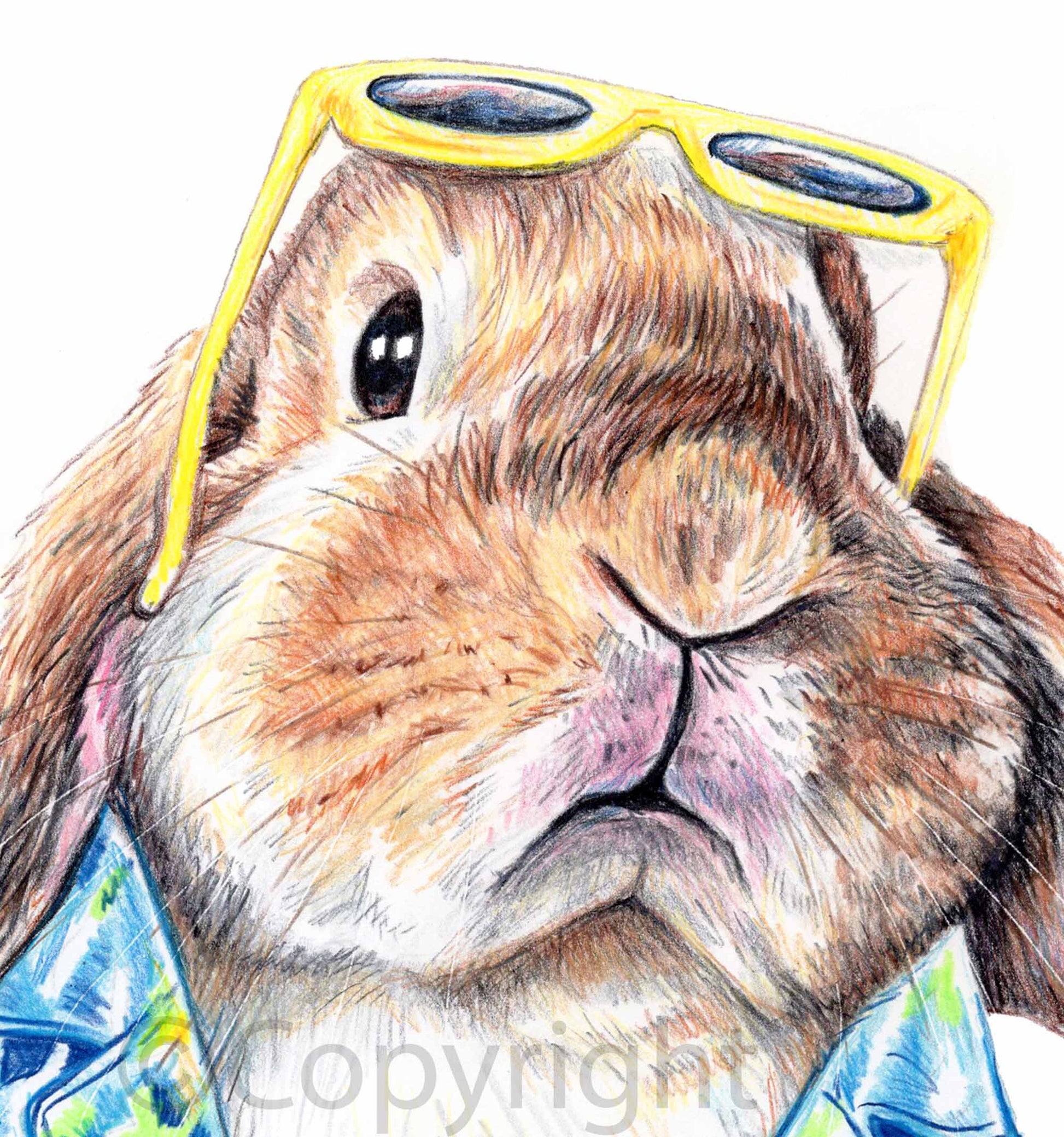Print of drawing of a lop eared bunny rabbit wearing a Hawaiian shirt. Original crayon pastel drawing by Deidre Wicks