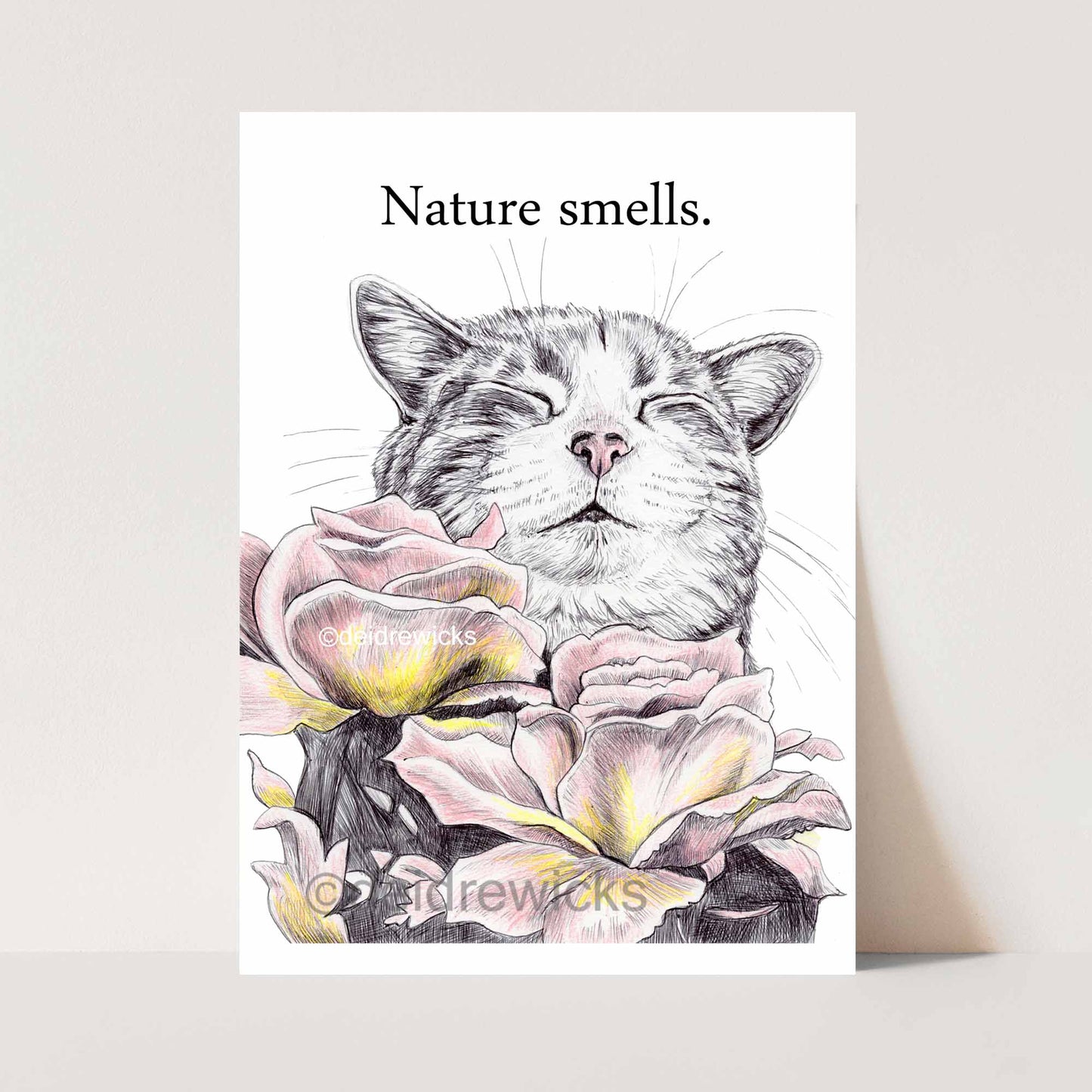 Ballpoint pen drawing of a tabby cat smelling pink and yellow tiffany roses. Art by Deidre Wicks