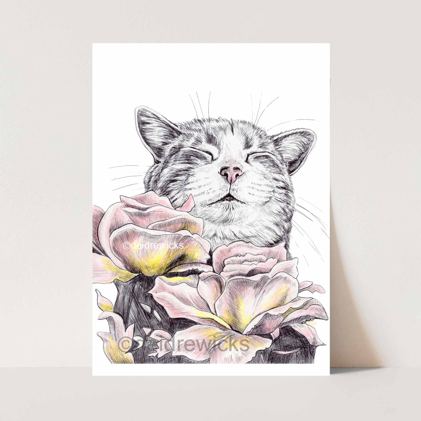 Ballpoint pen drawing of a tabby cat smelling pink and yellow tiffany roses. Art by Deidre Wicks