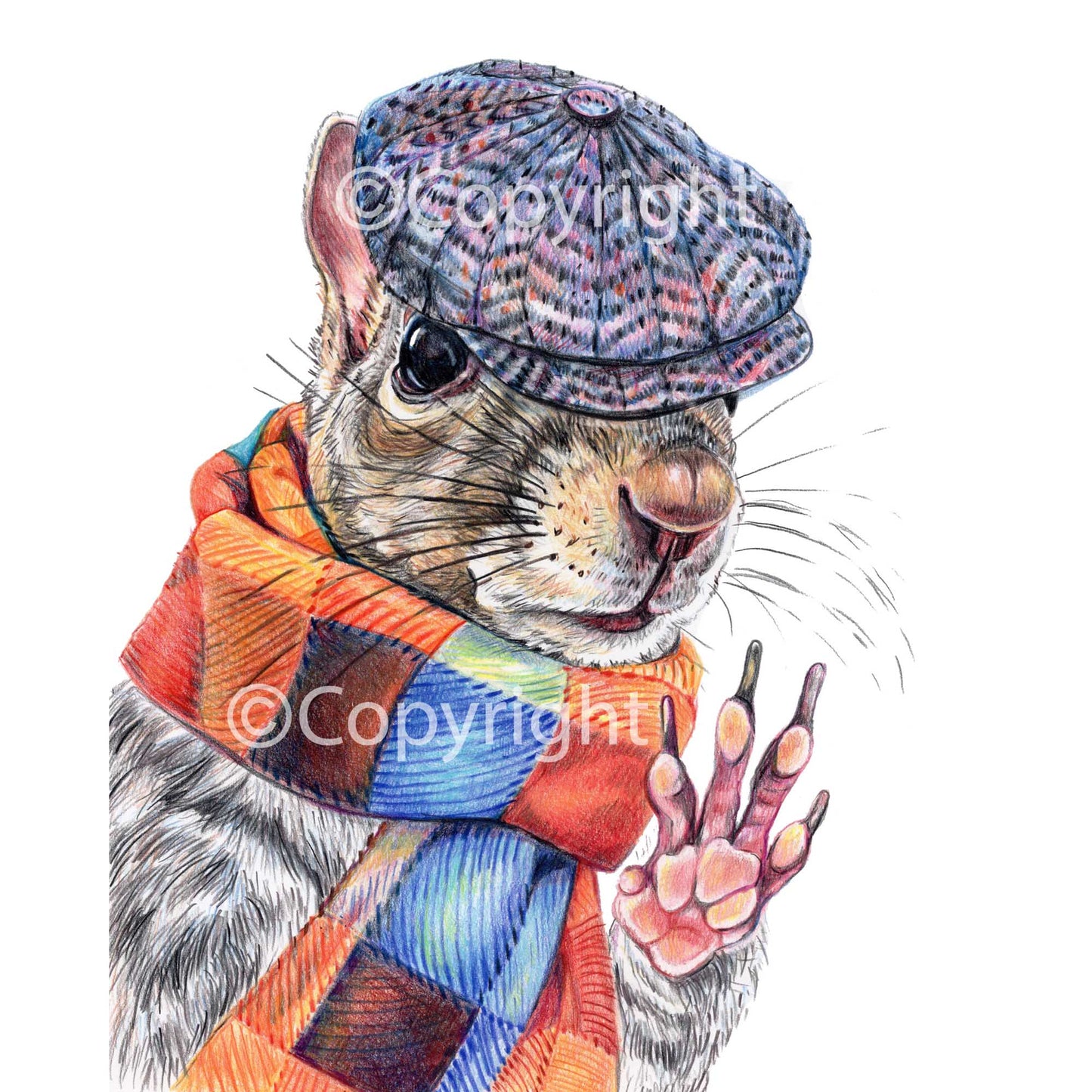 Coloured pencil drawing of a dapper Eastern grey squirrel wearing a newsboy hat and wool scarf. Art by Deidre Wicks