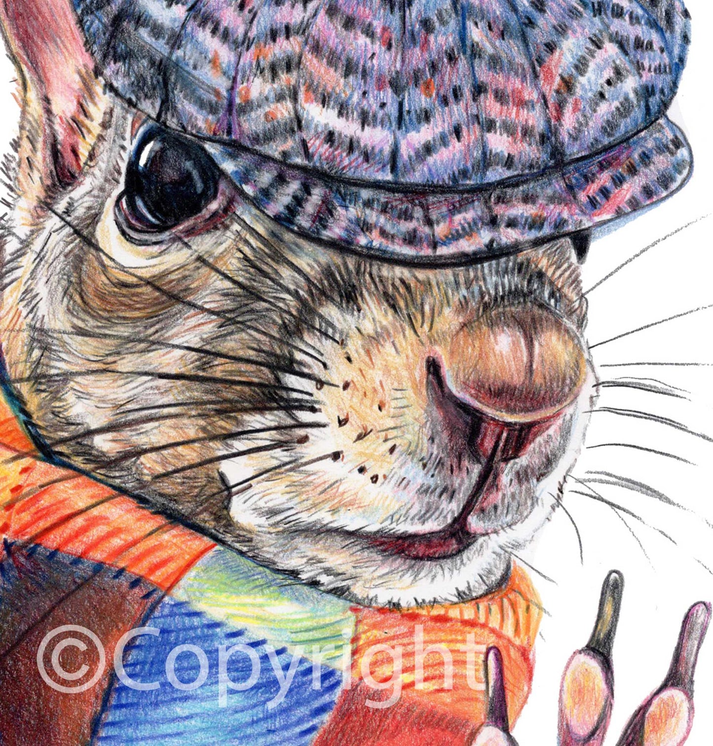 Coloured pencil drawing of a dapper Eastern grey squirrel wearing a newsboy hat and wool scarf. Art by Deidre Wicks