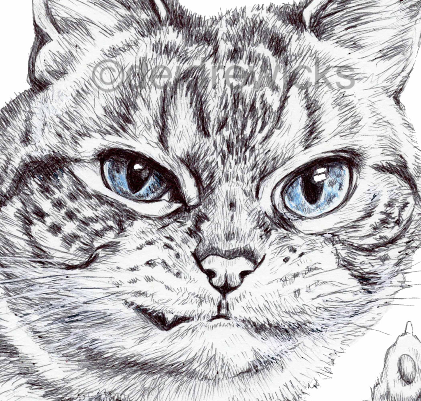 Ballpoint Pen drawing of a Persian cat grinning and showing the peace sigh with his paw. By Deidre Wicks