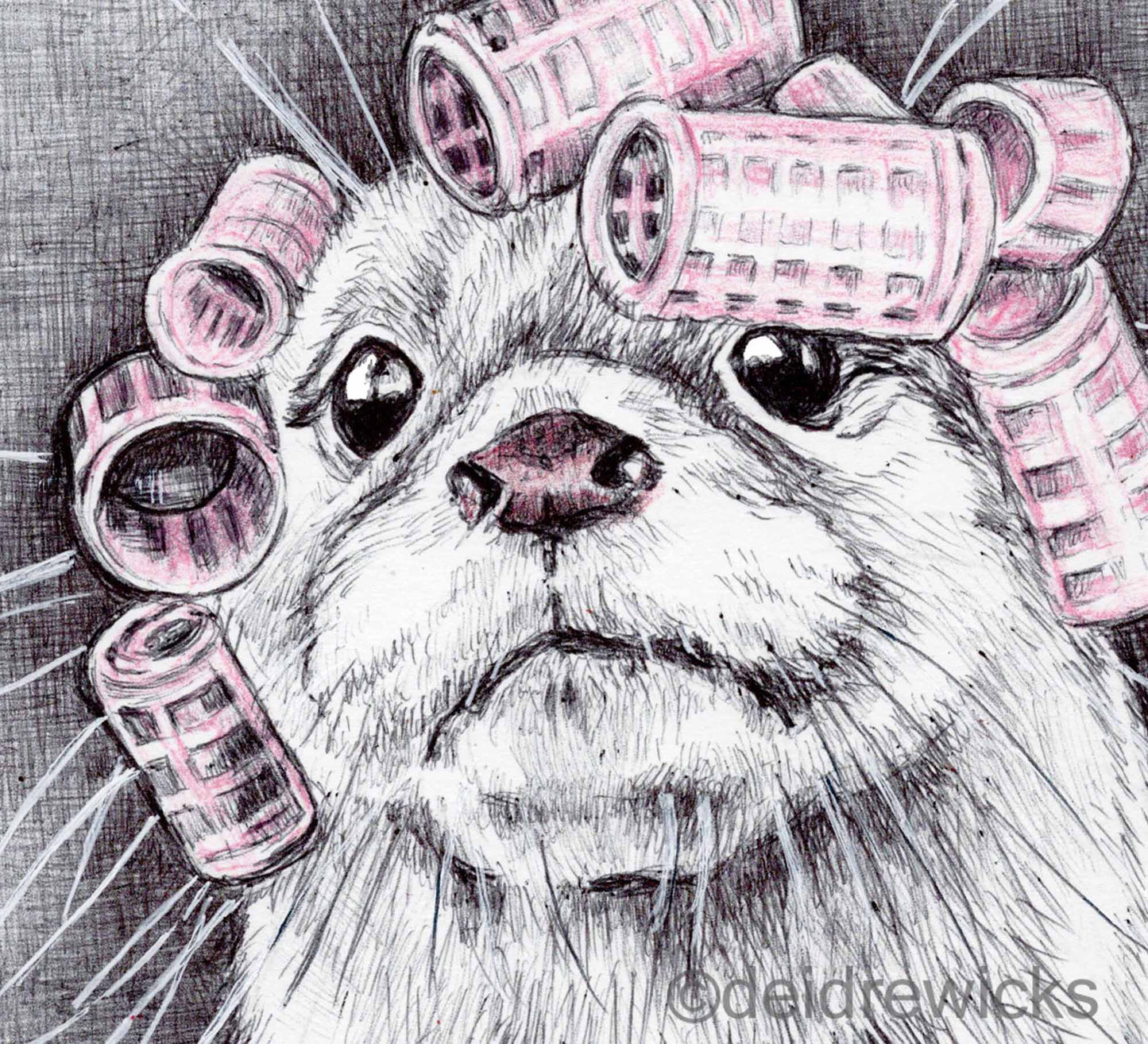 Close up of a face of an otter. Ballpoint pen art by Deidre Wicks