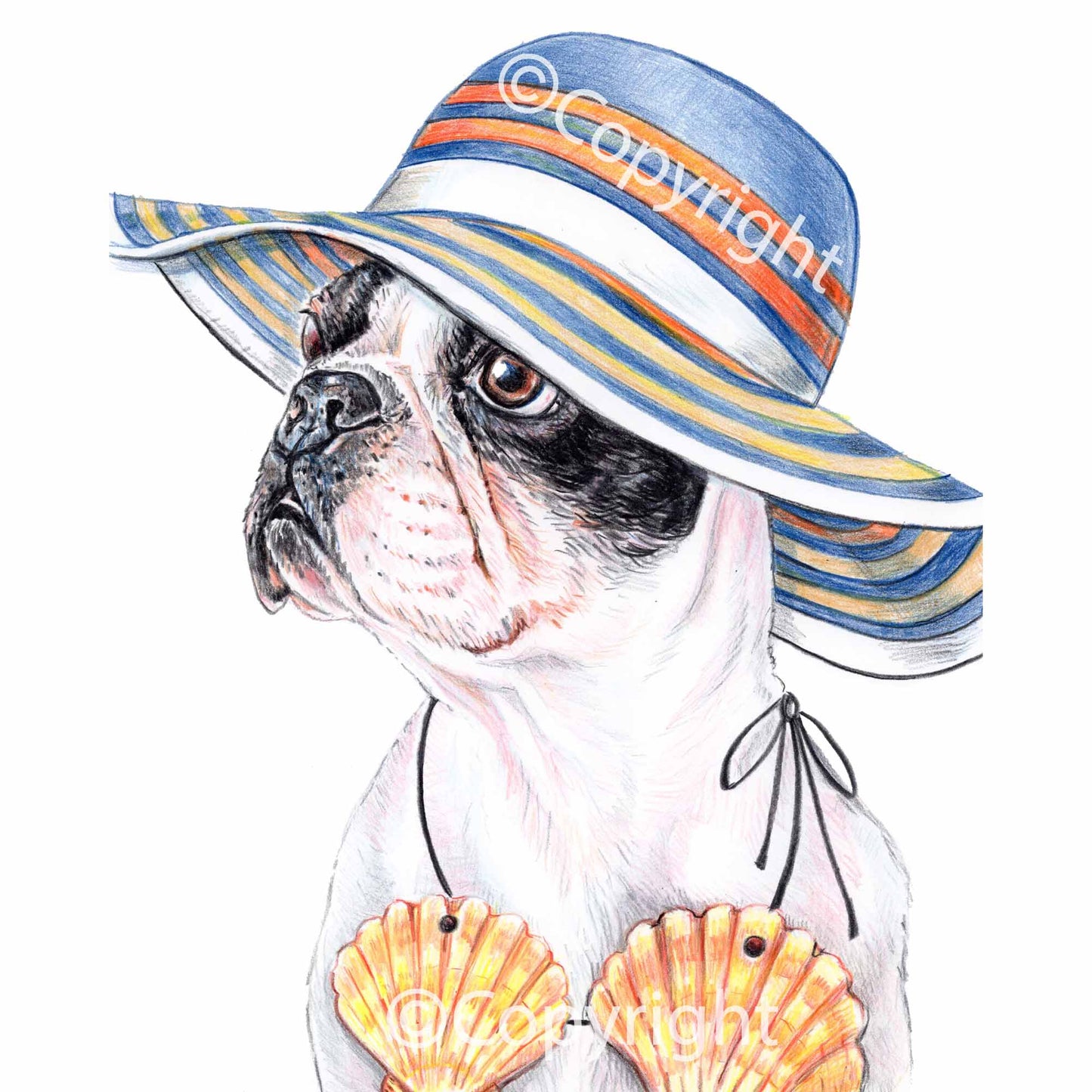 Crayon drawing of a boston terrier dog wearing a sun hat and a sea shell bikini. Art by Deidre Wicks