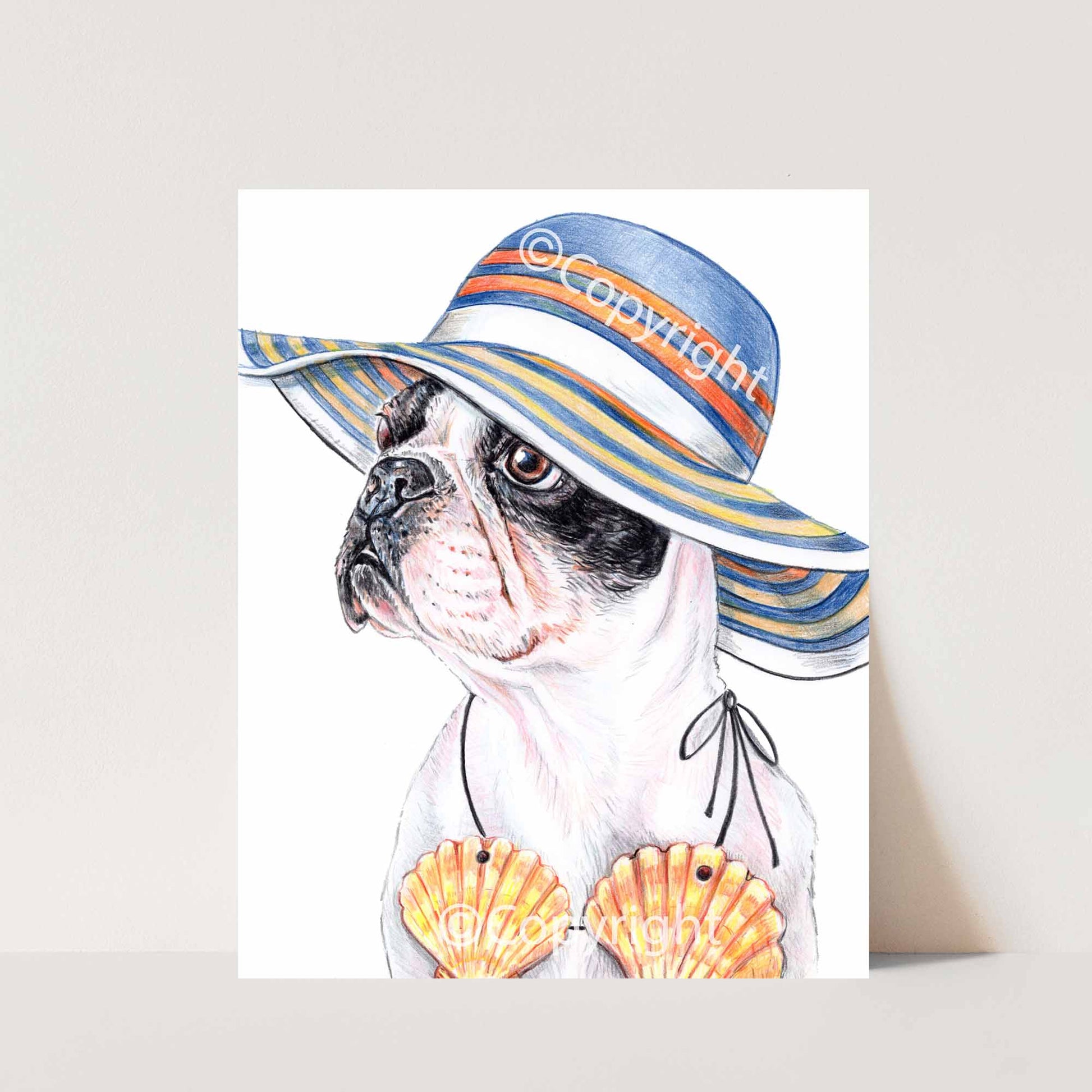 Crayon drawing of a boston terrier dog wearing a sun hat and a sea shell bikini. Art by Deidre Wicks